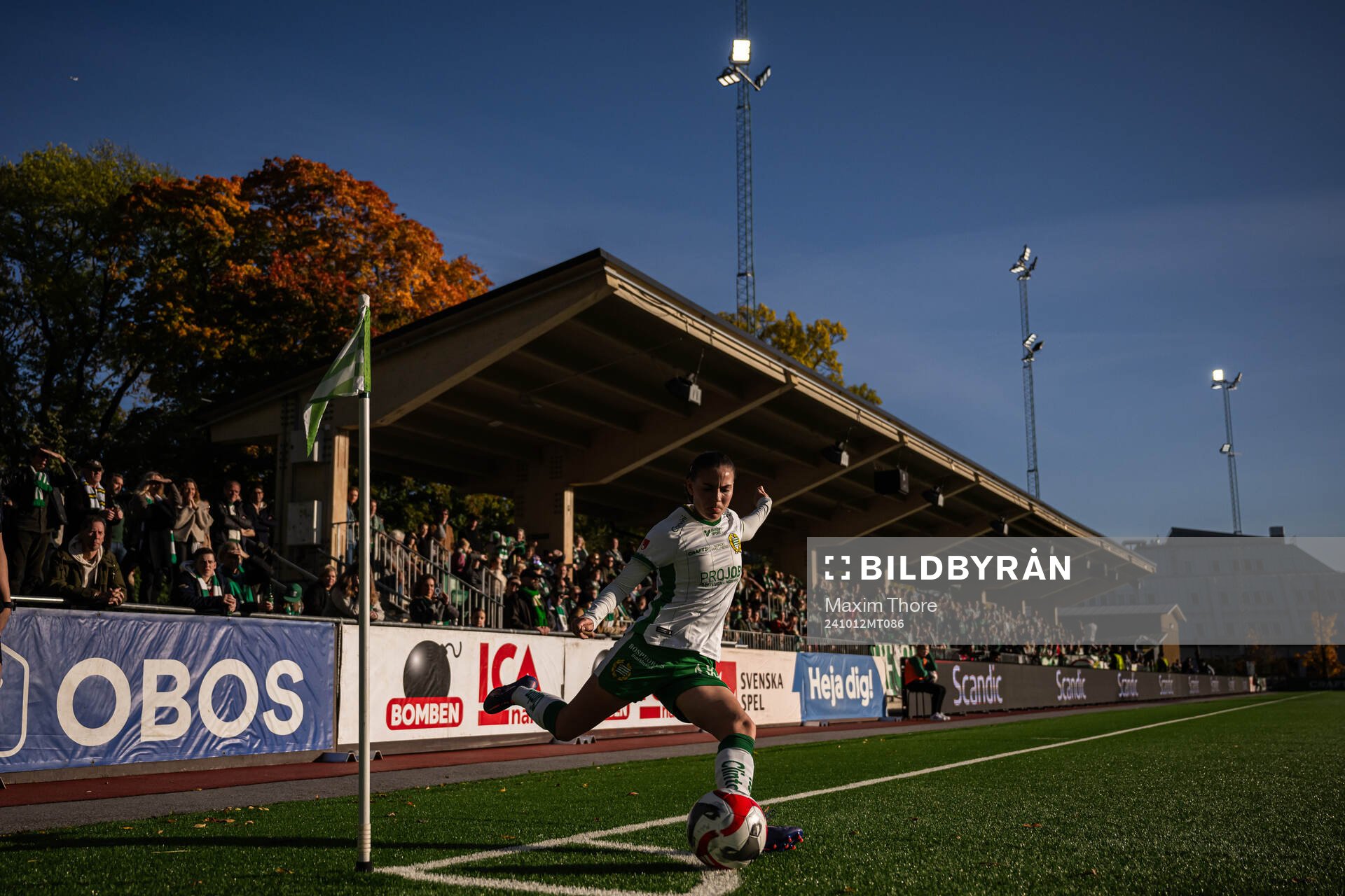 Hammarbys Vilde Hasund
