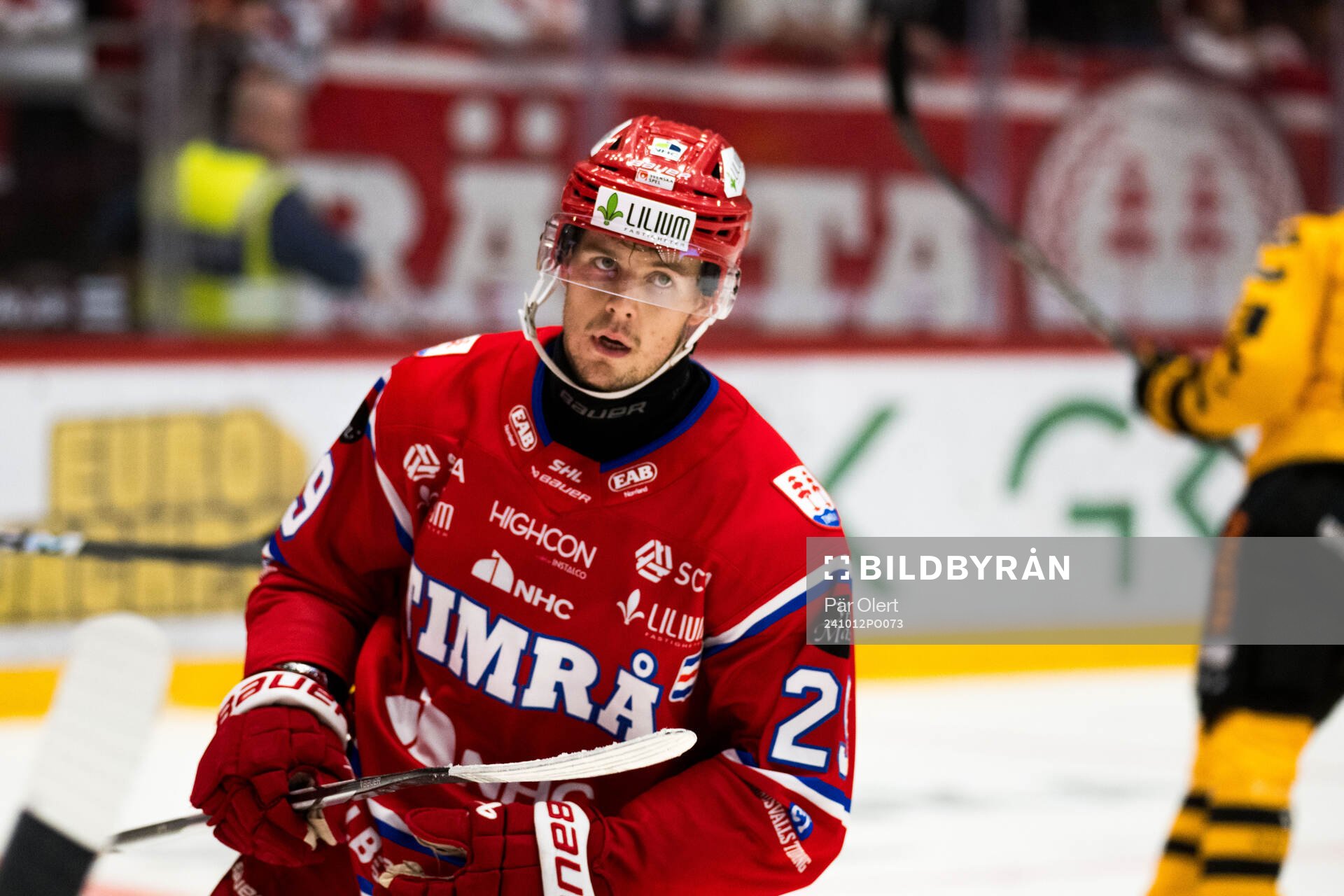 Timrås Filip Hållander