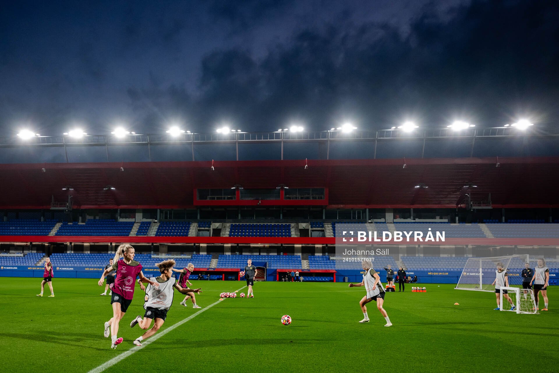 Players of Hammarby