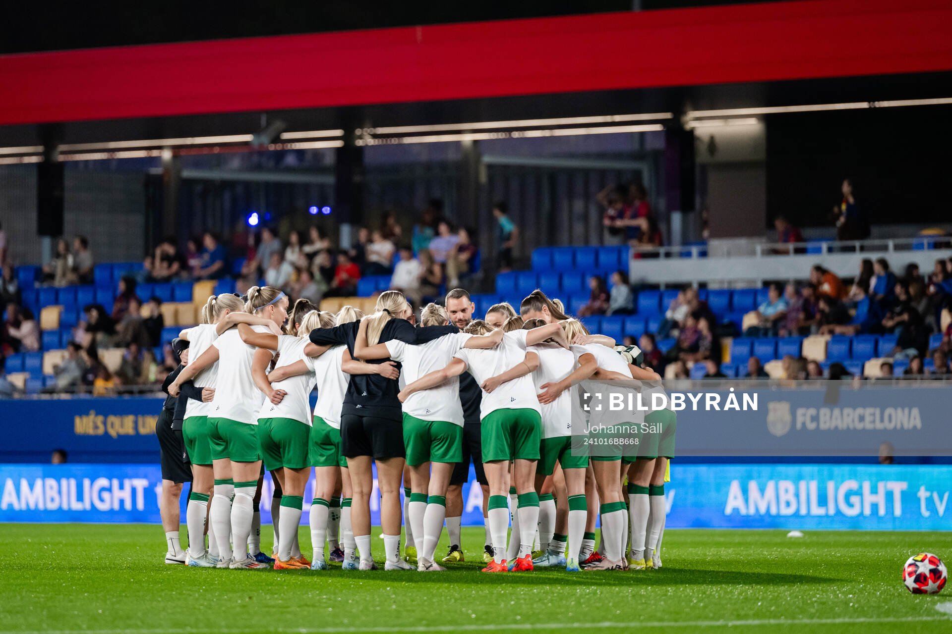 Players of Hammarby