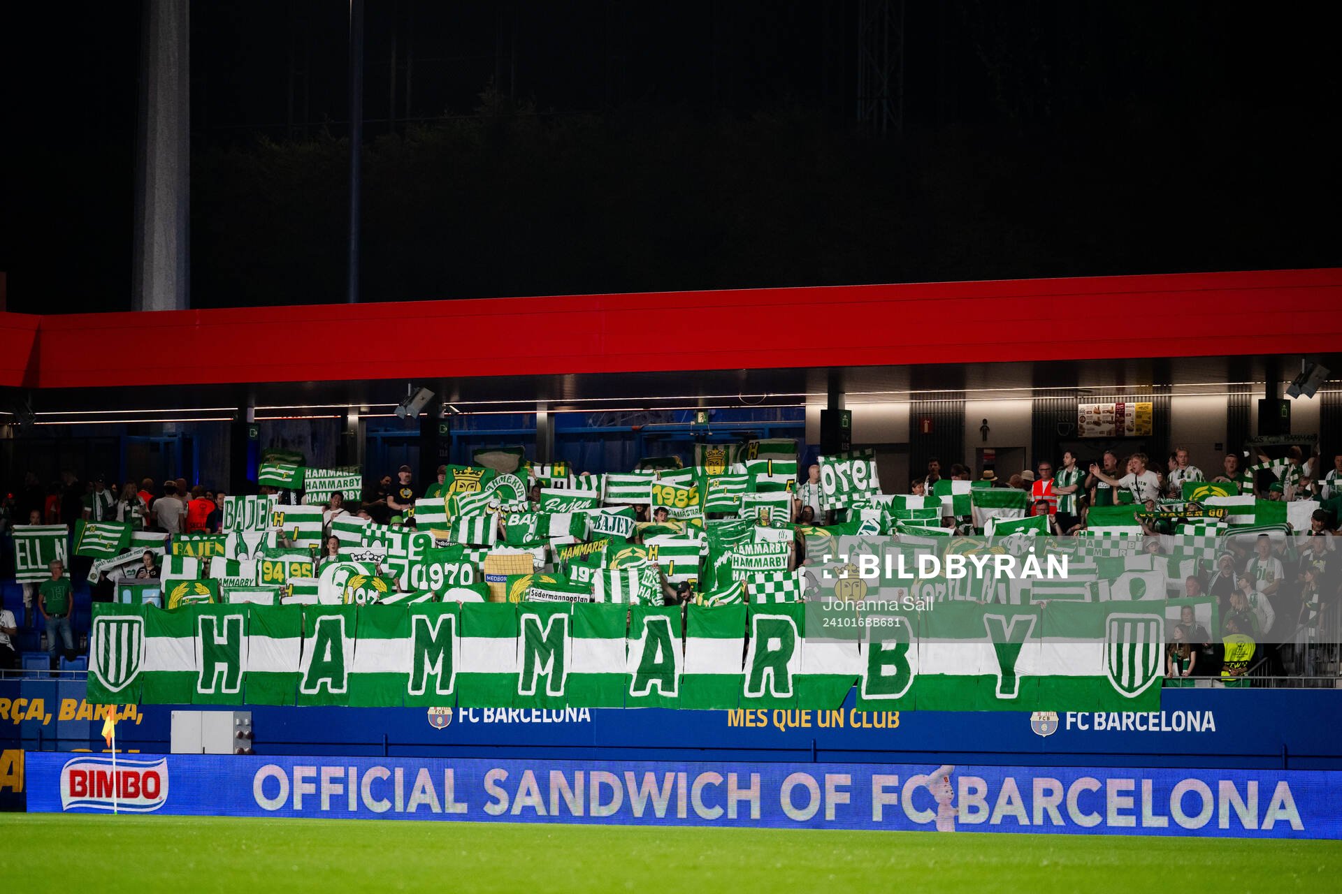 Fans of Hammarby