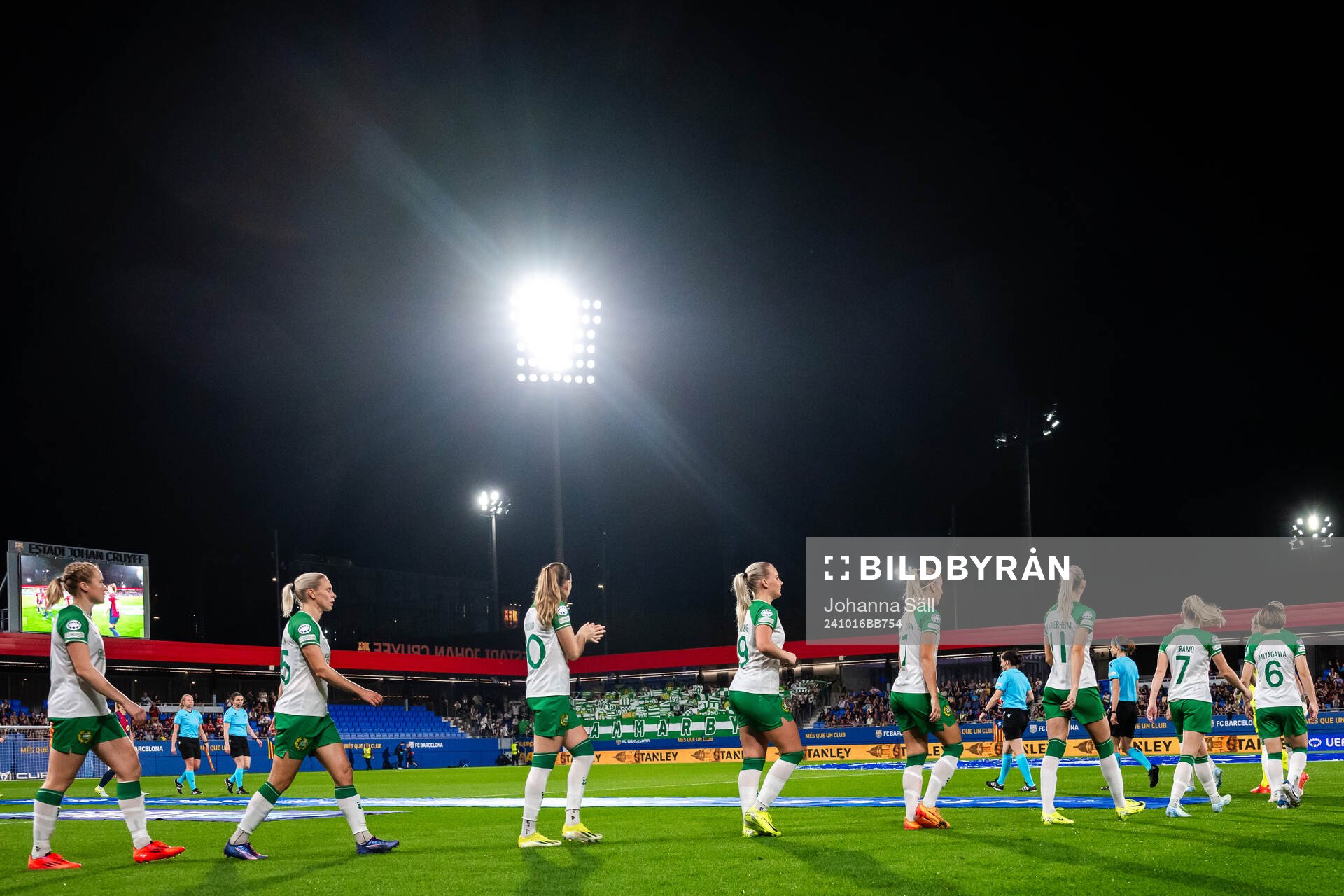 Players of Hammarby