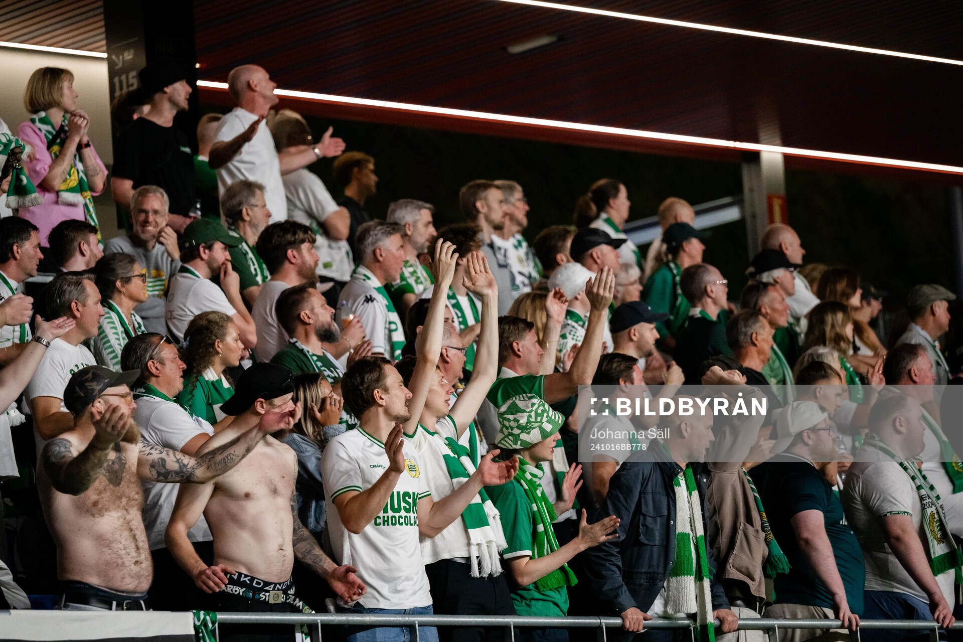 Fans of Hammarby