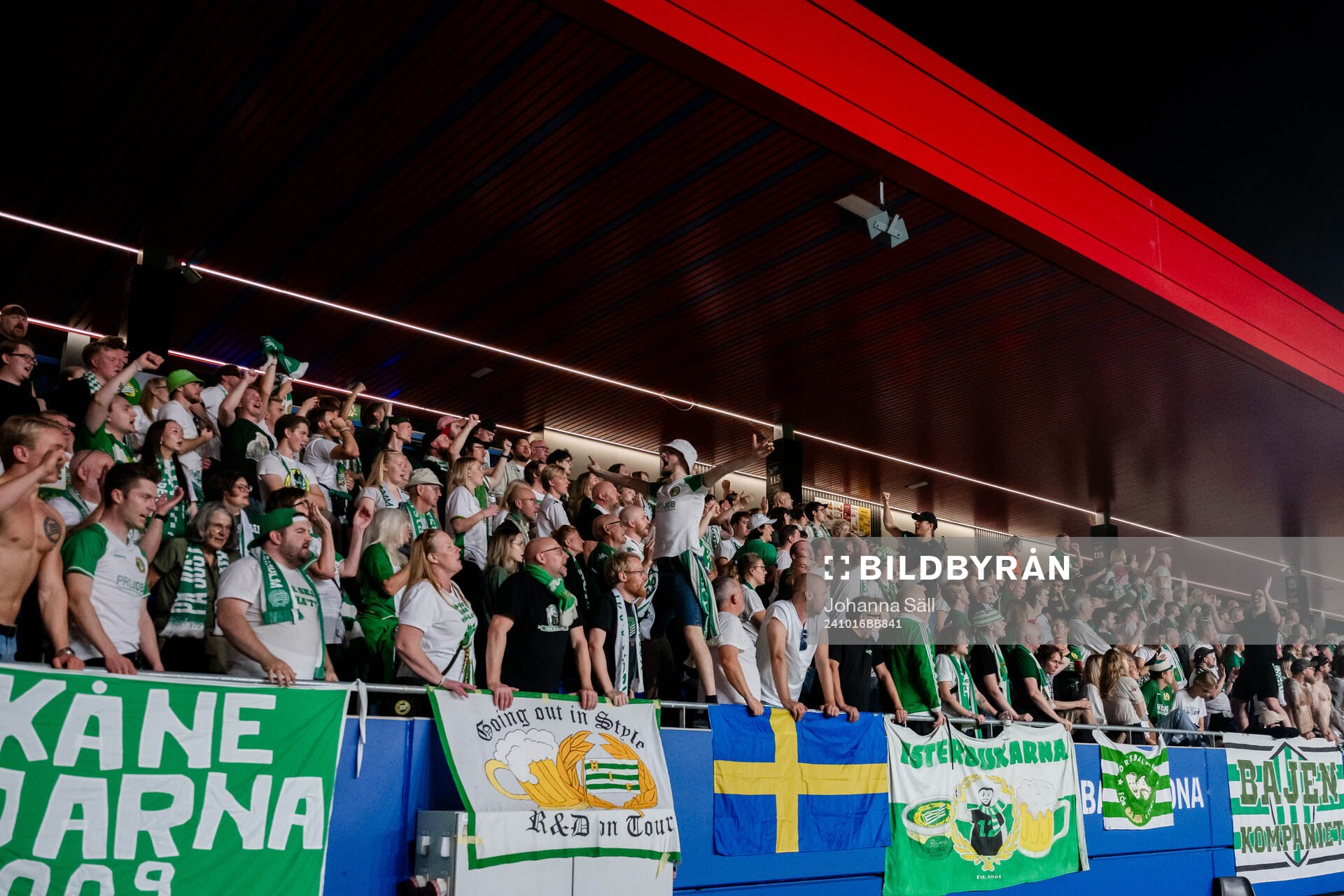 Fans of Hammarby