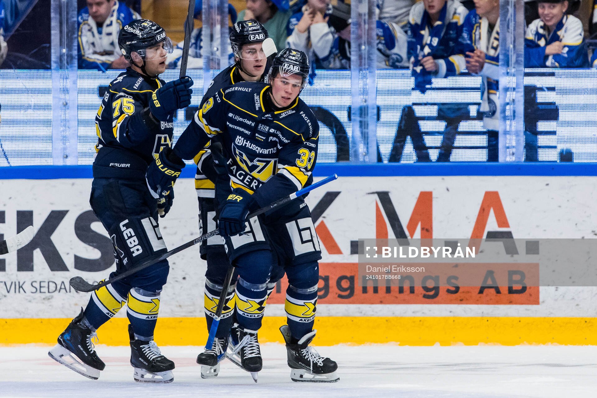 HV71s Måns Lindbäck jublar