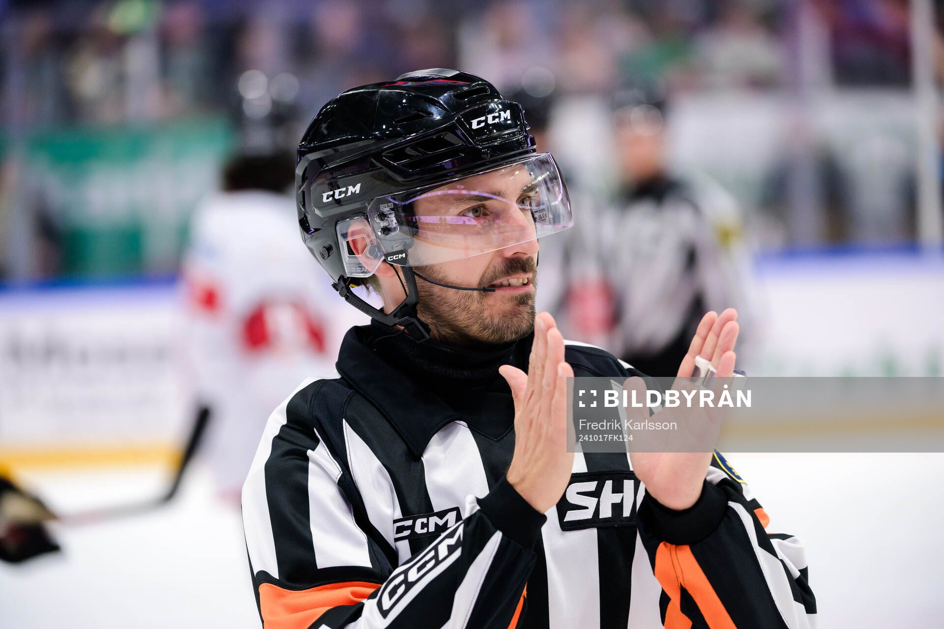 Domare Mattias Enroth