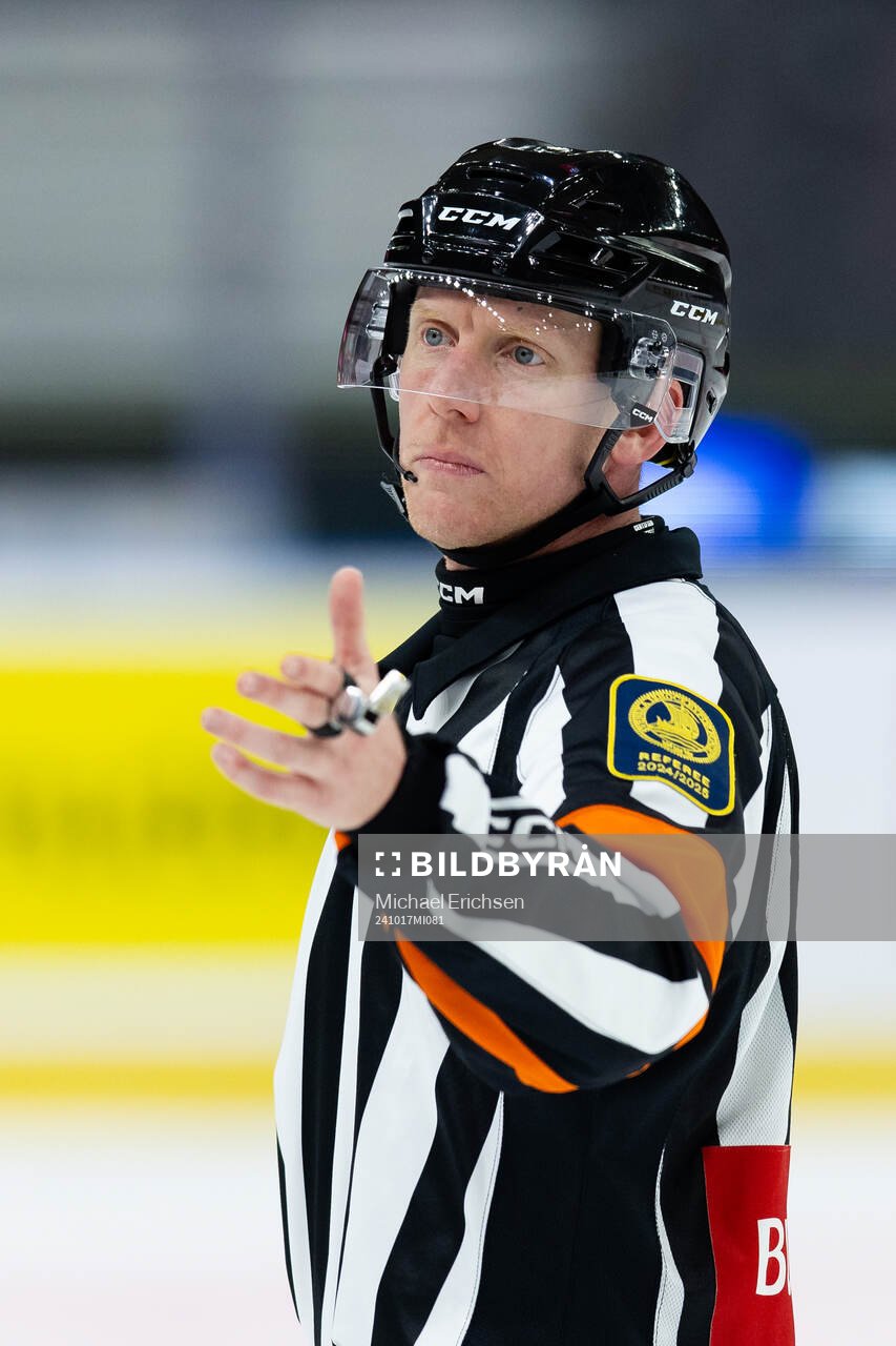 Domare Mikael Holm