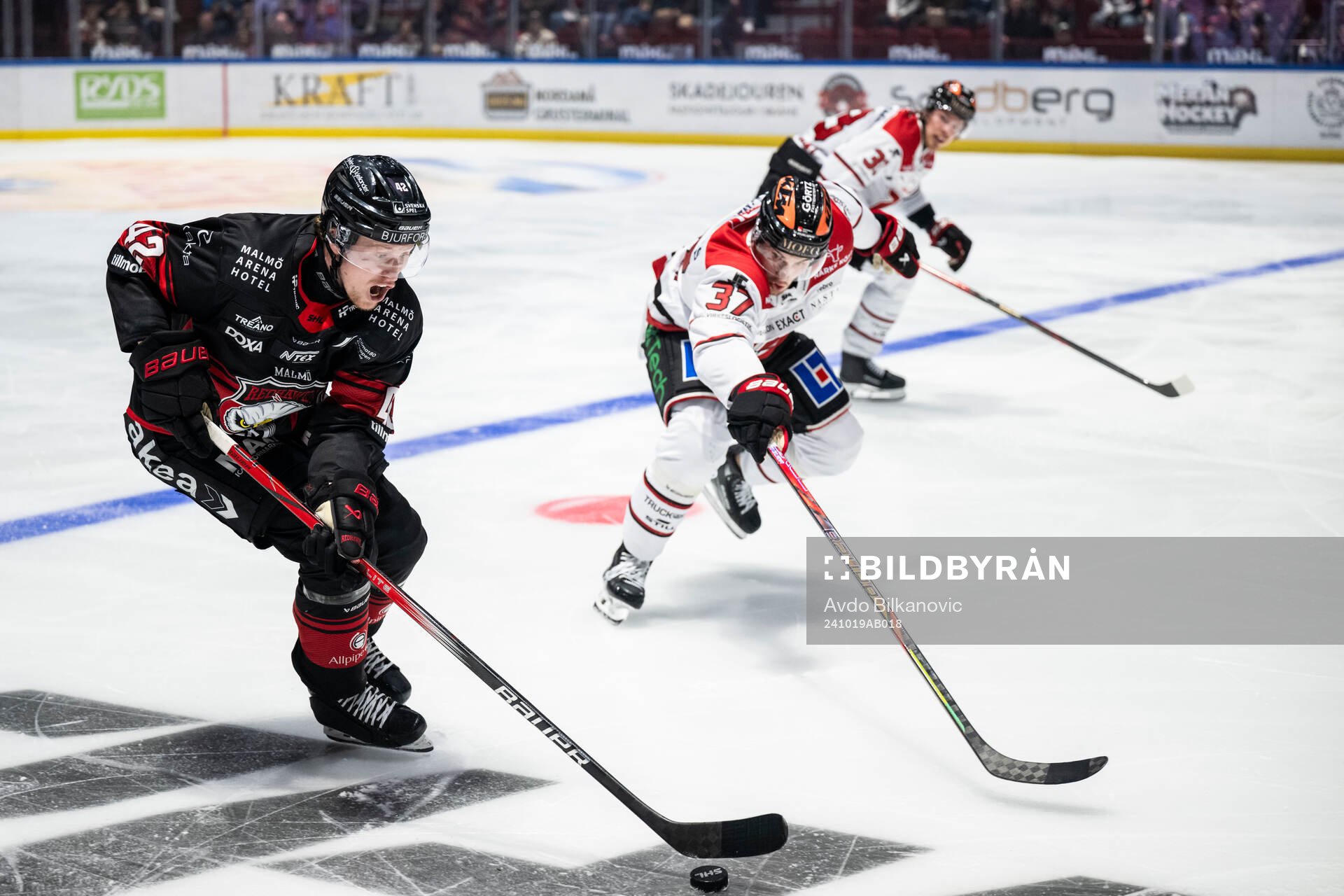 Malmö Redhawks Robin Salo