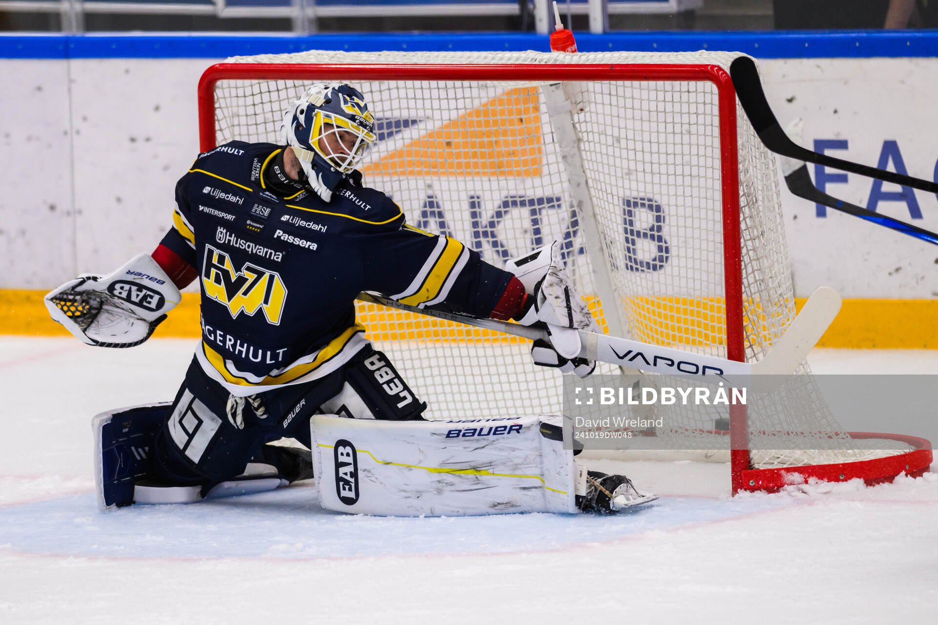 HV71s målvakt Frederik Dichow släpper in 1-2 av Timrås