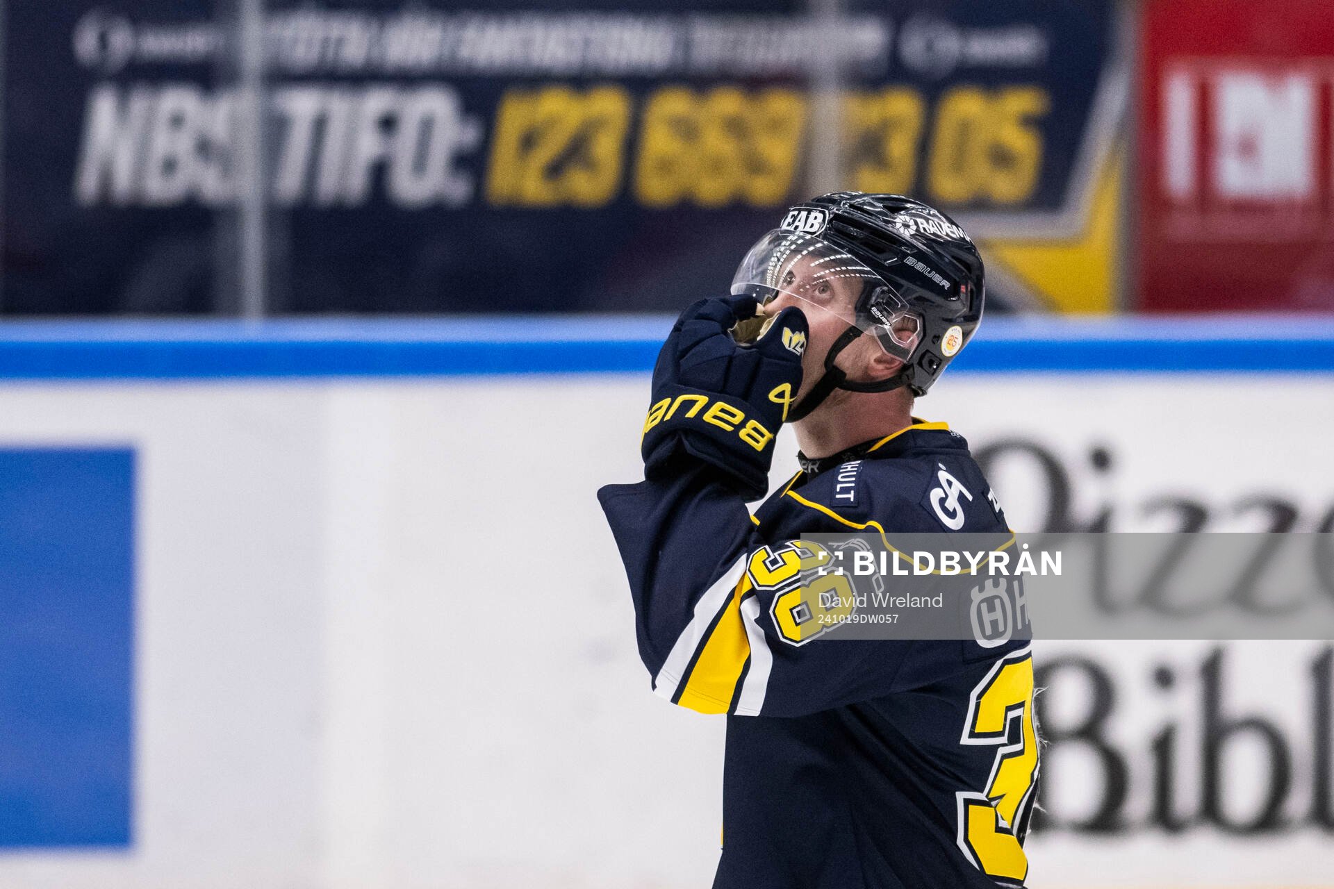 HV71s Olle Alsing deppar