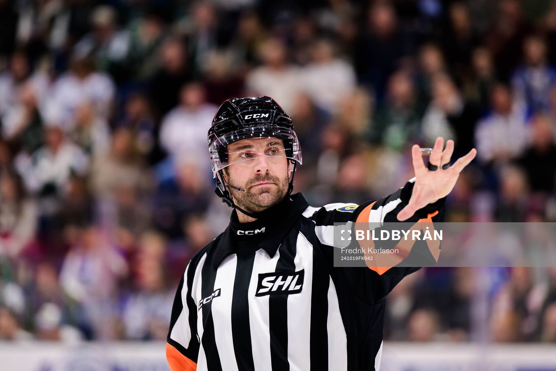 Domare Mikael Sjöqvist