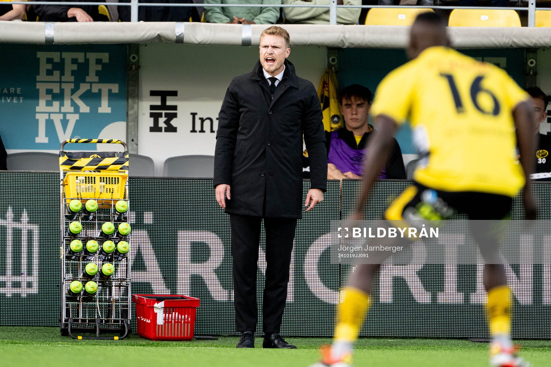 Elfsborgs manager Oscar Hiljemark