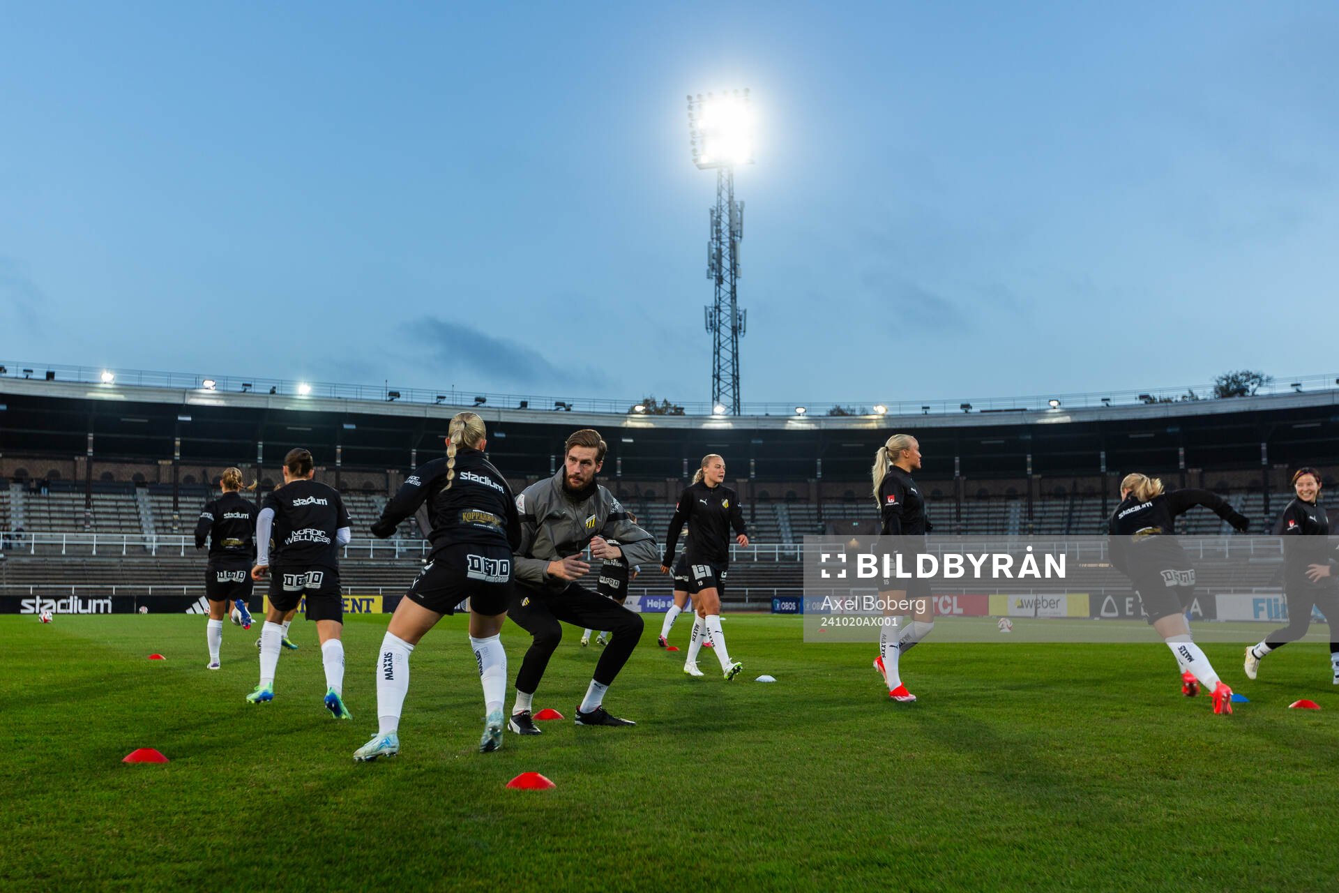Häcken värmer upp