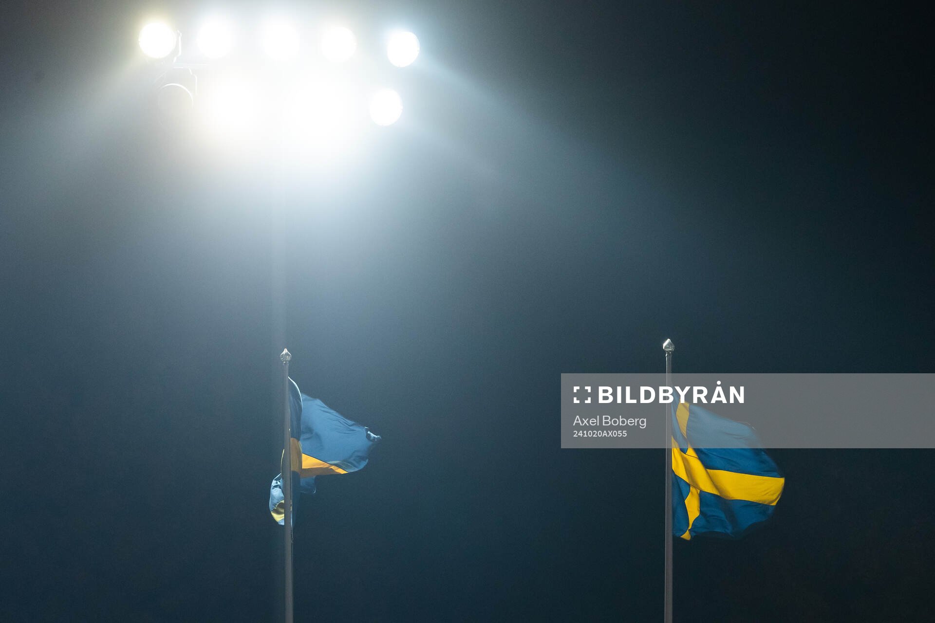 Svenska flaggor