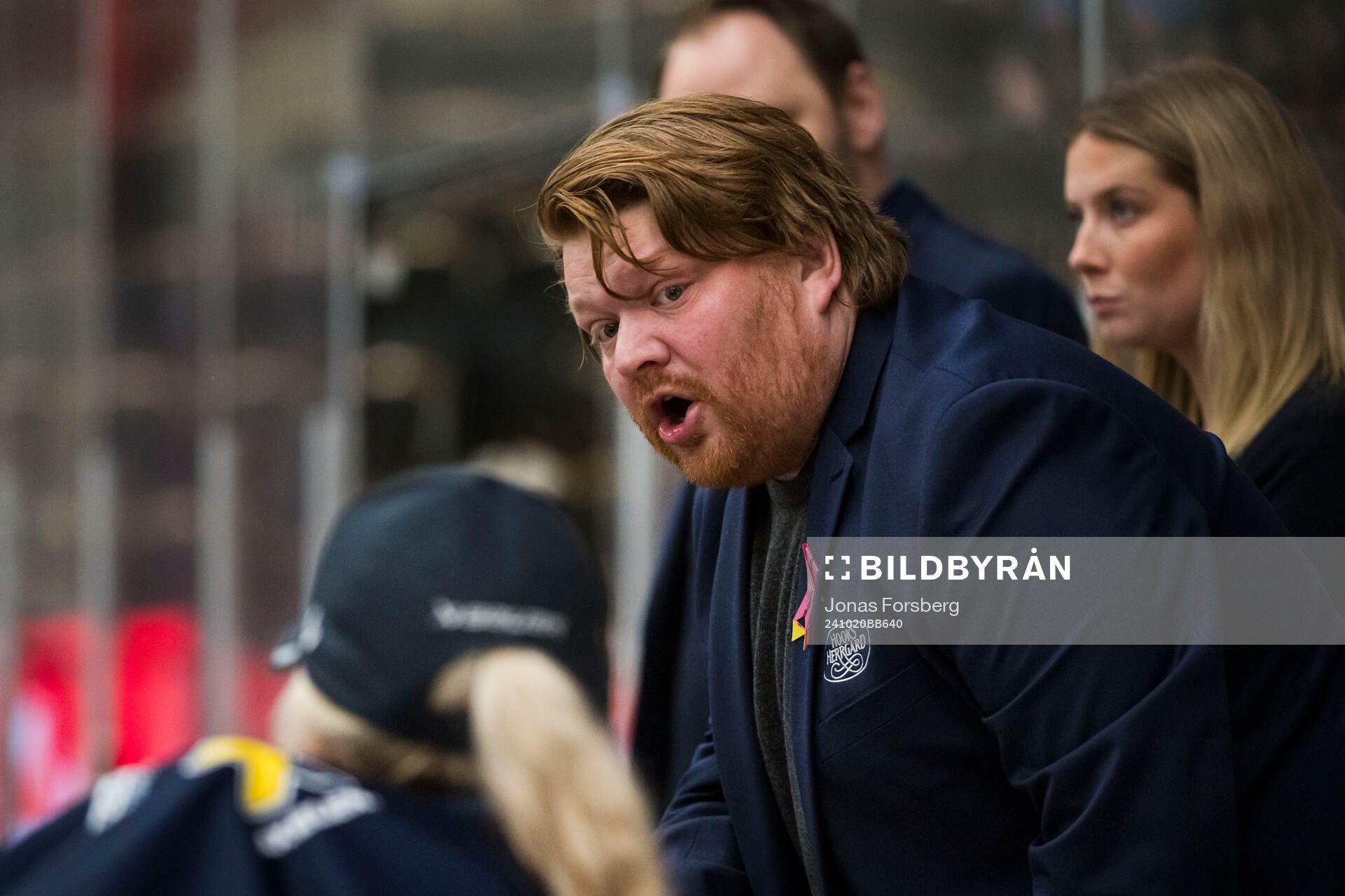 HV71s tränare Thomas Pettersen