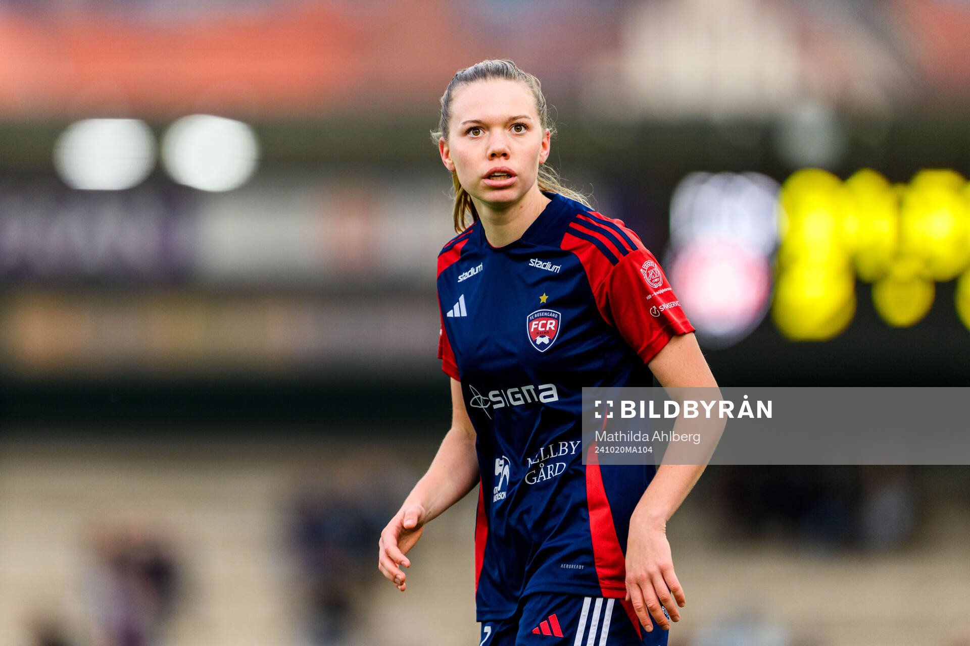 Rosengårds Bea Sprung