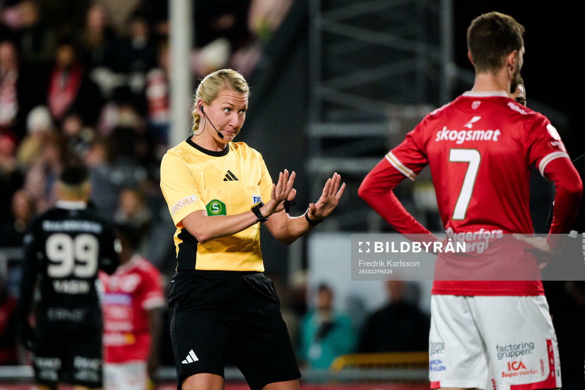 Domare Tess Olofsson