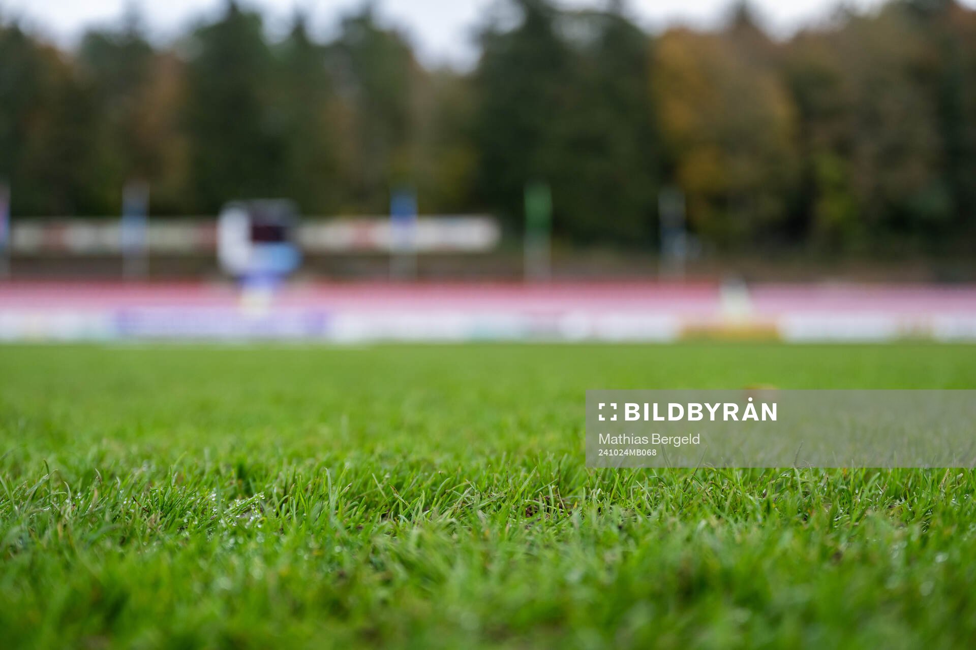 The grass of the pitch at Stade Emile Mayrisch
