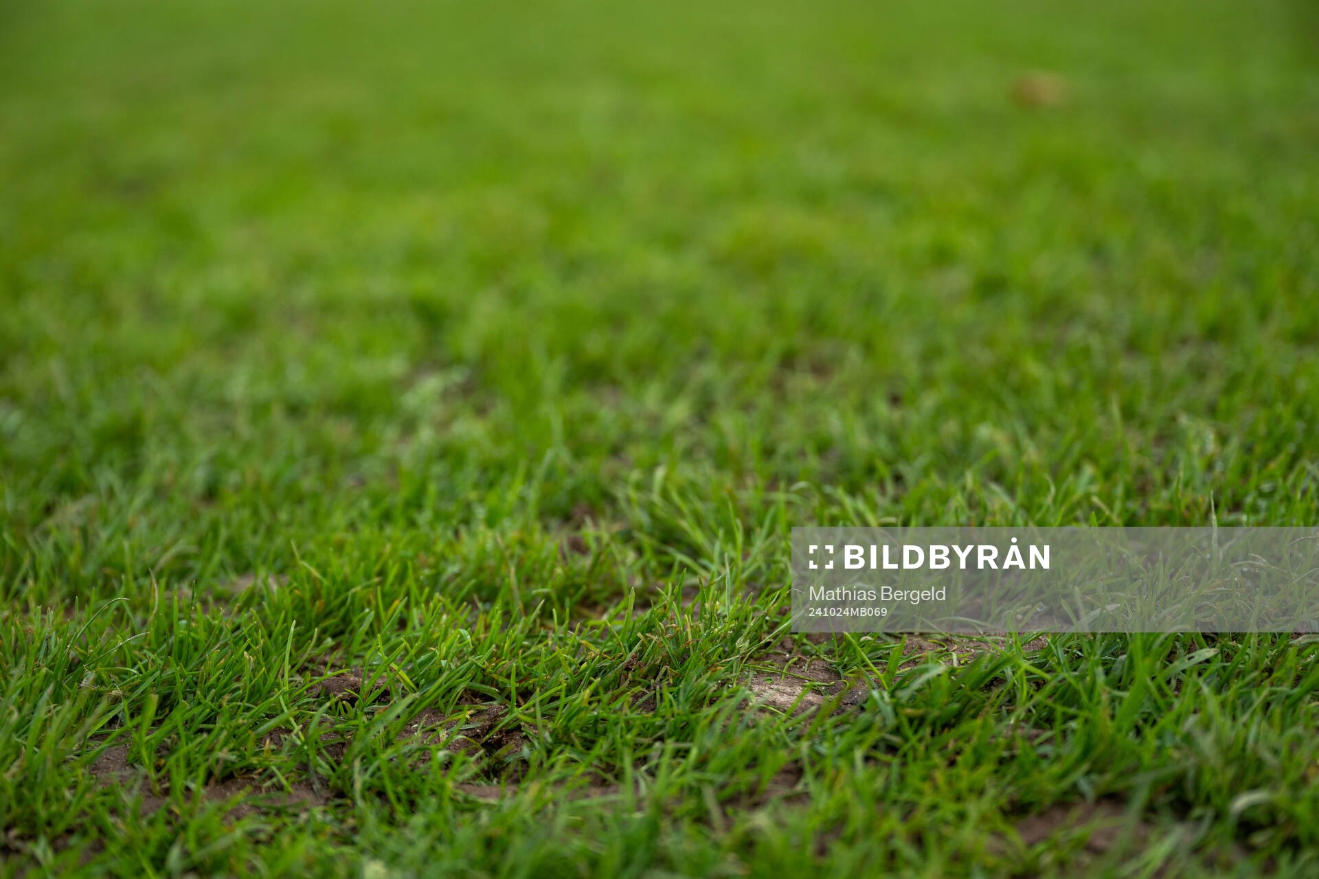 The grass of the pitch at Stade Emile Mayrisch