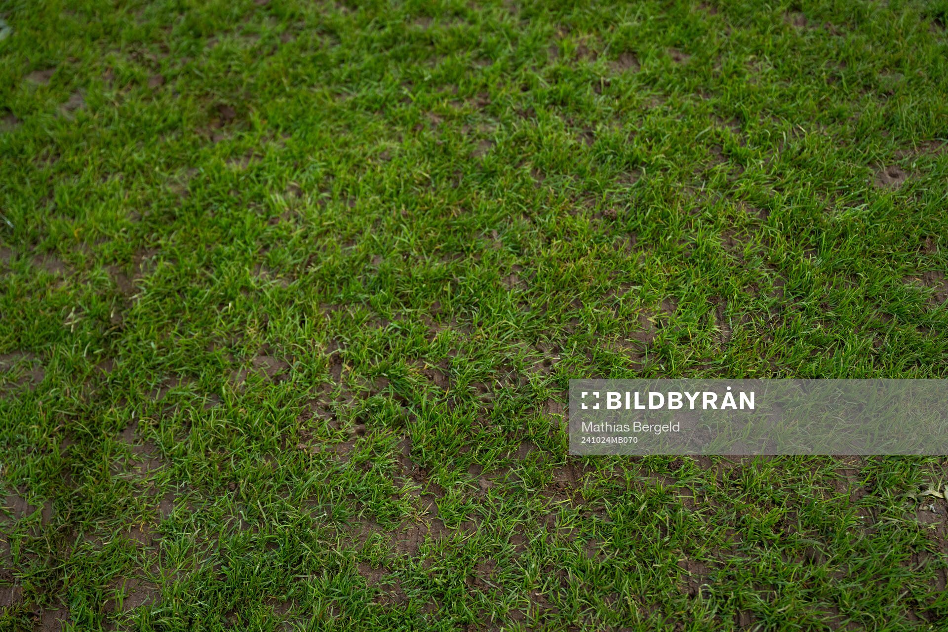 The grass of the pitch at Stade Emile Mayrisch