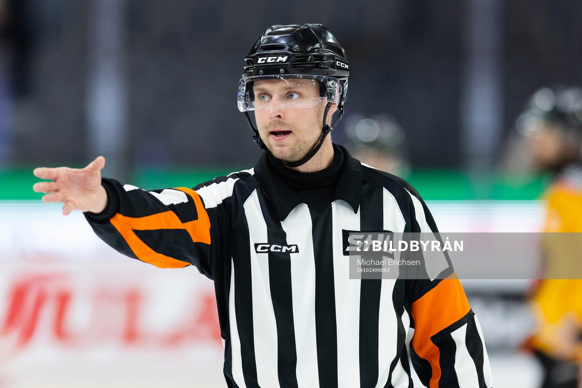 Domare Robin Forslund