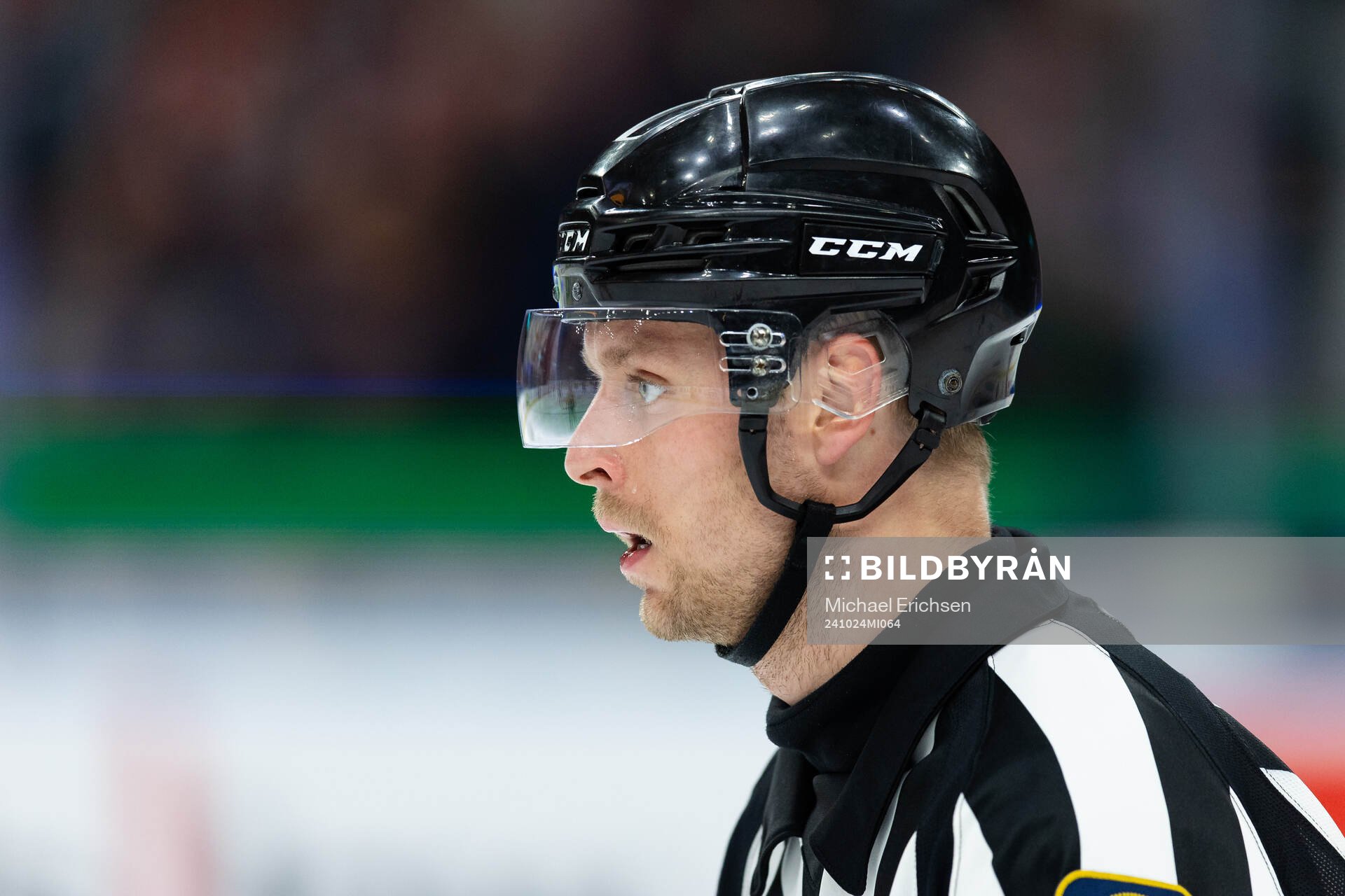 Domare Robin Forslund