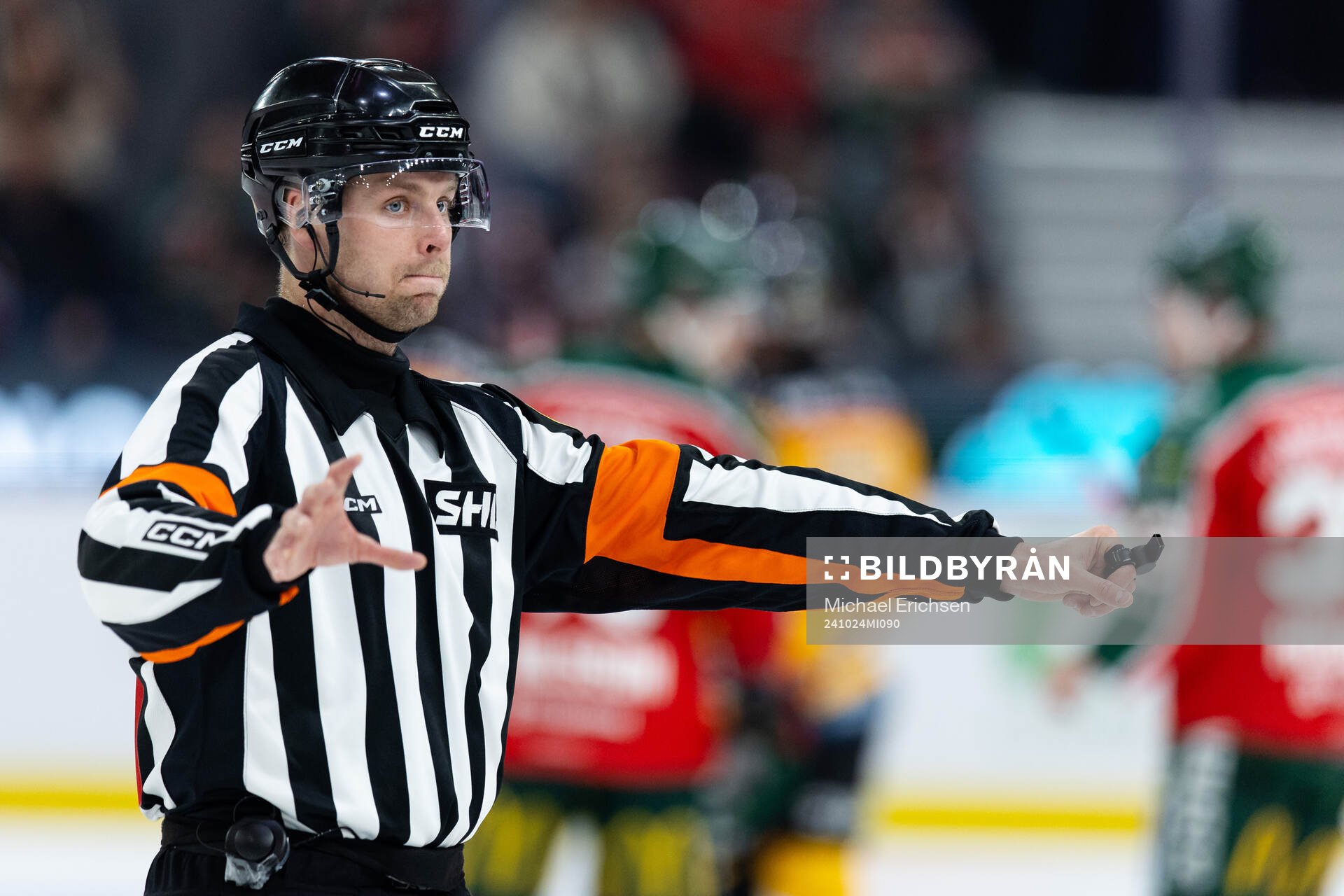 Domare Robin Forslund
