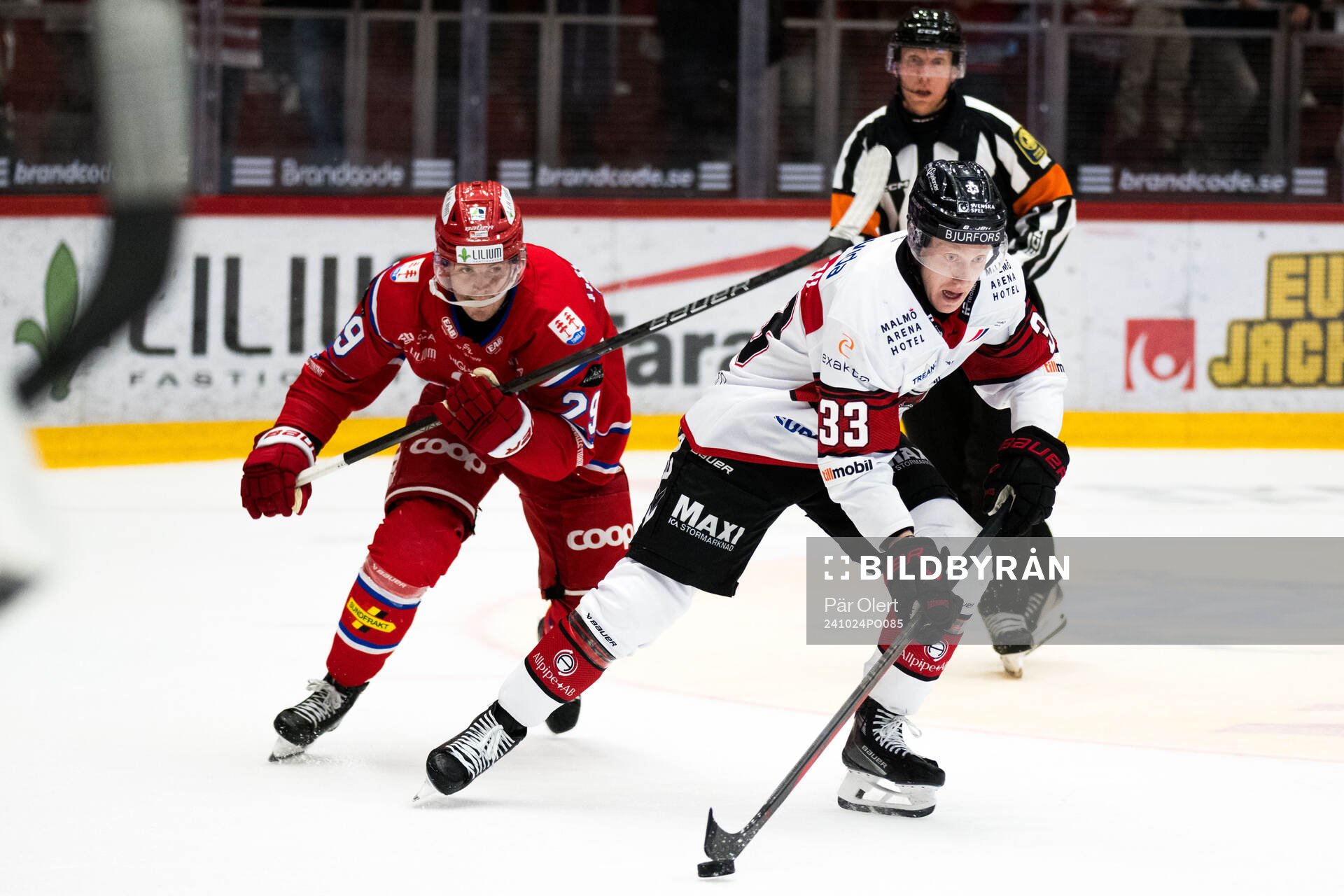 Malmö Redhawks Lassi Thomson och Timrås Filip Hållander