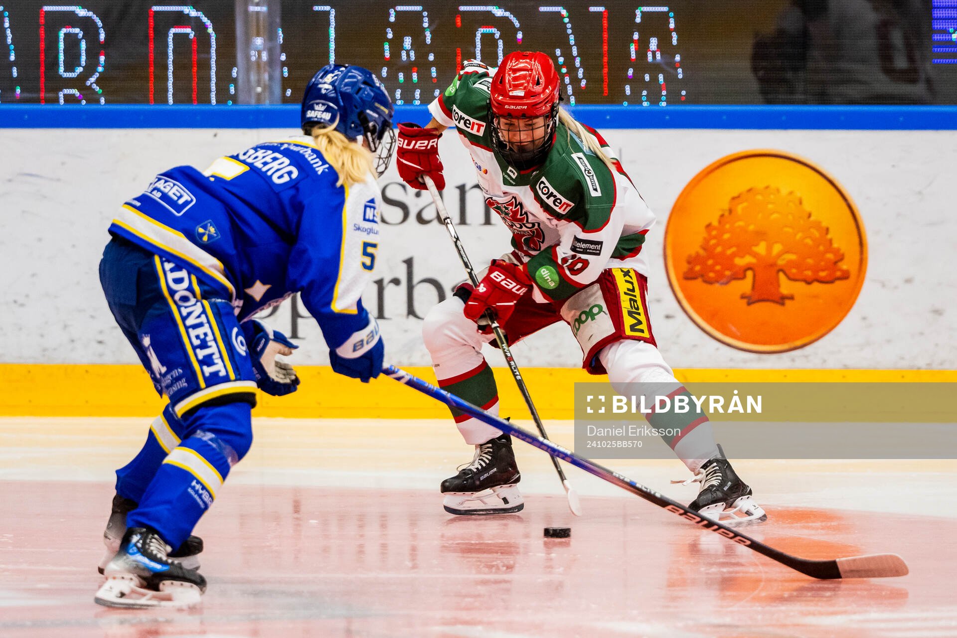 Modos Wilma Sundin