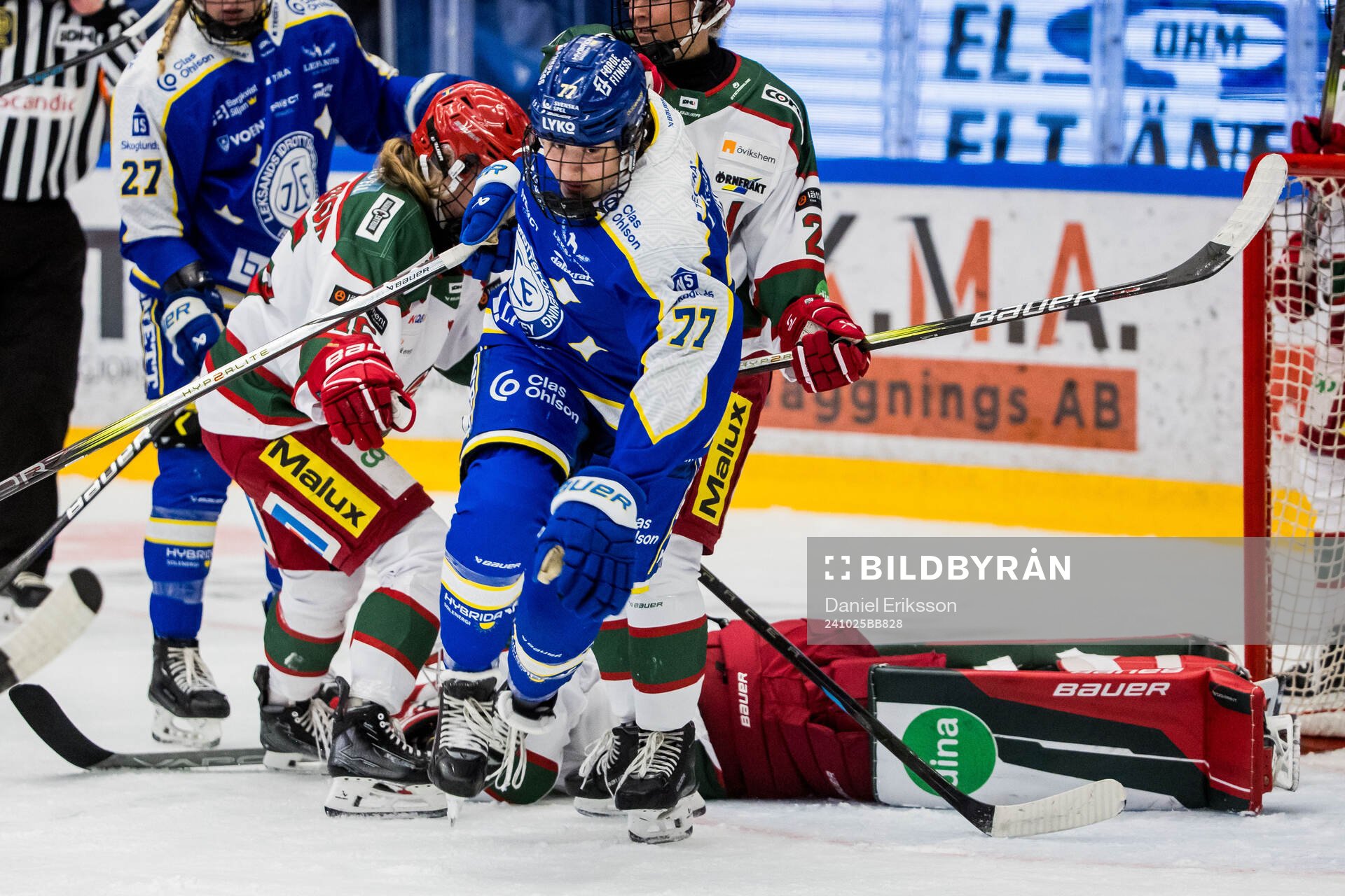 Leksands Tereza Radova
