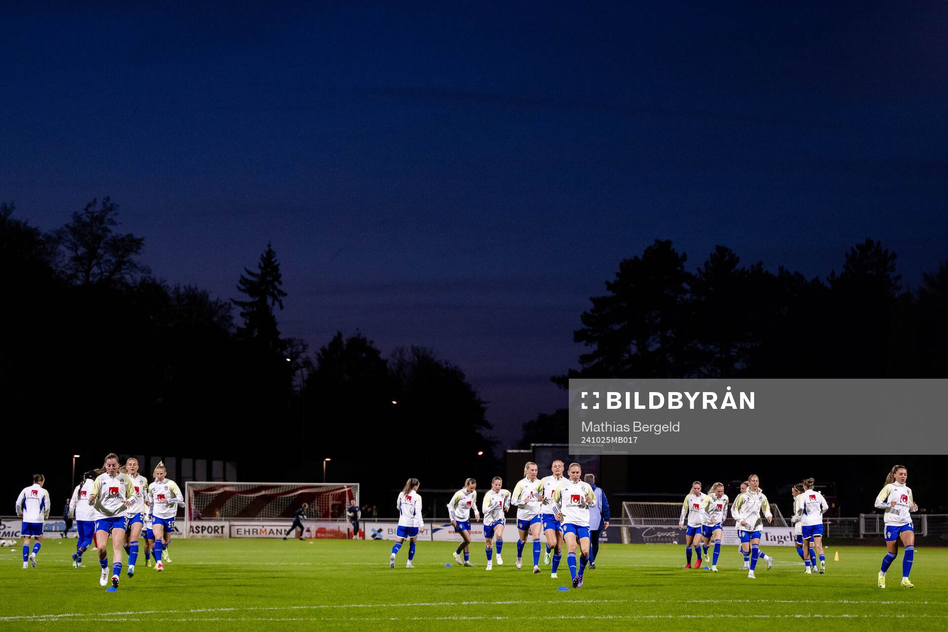 Players of Sweden
