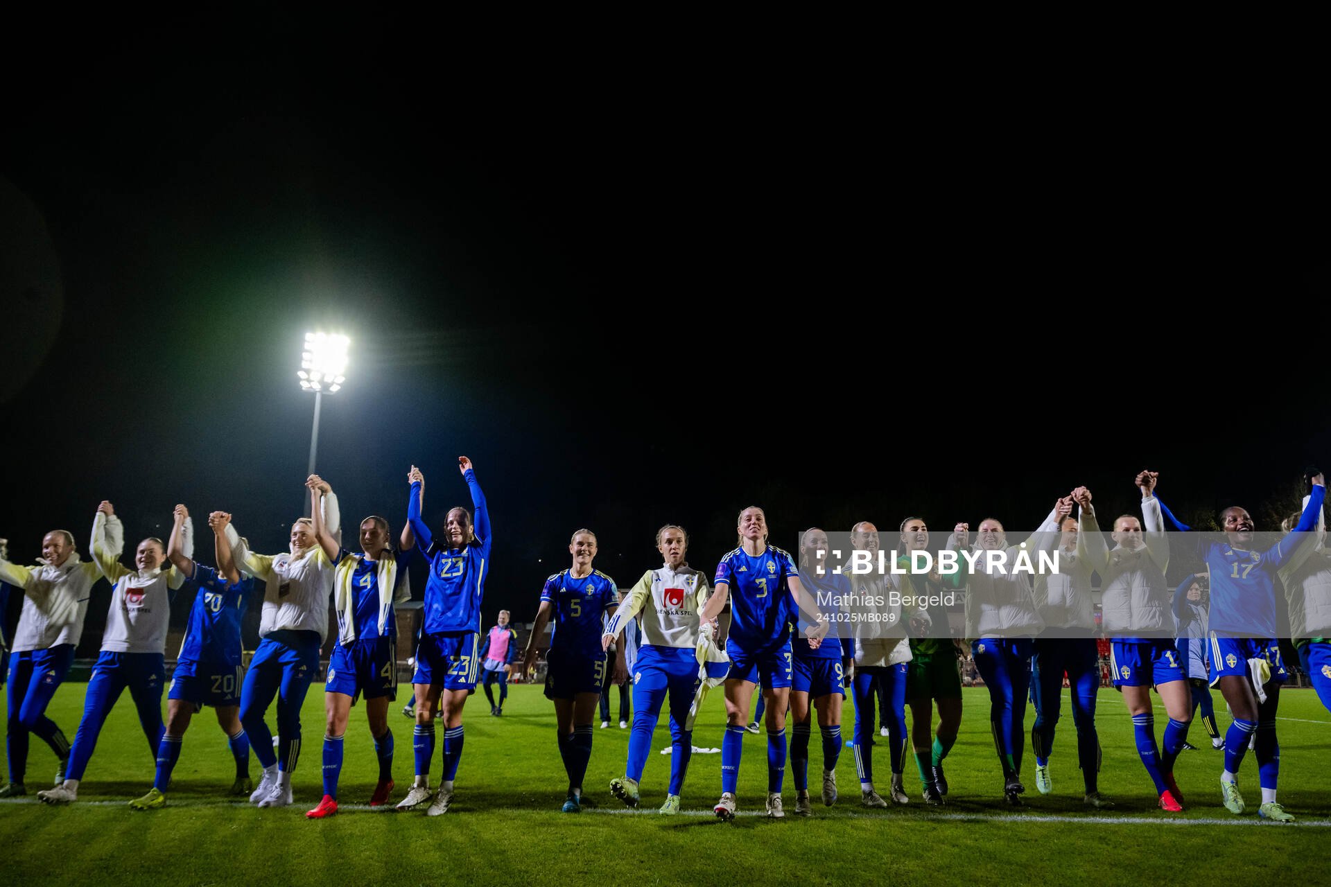 Players of Sweden celebrate