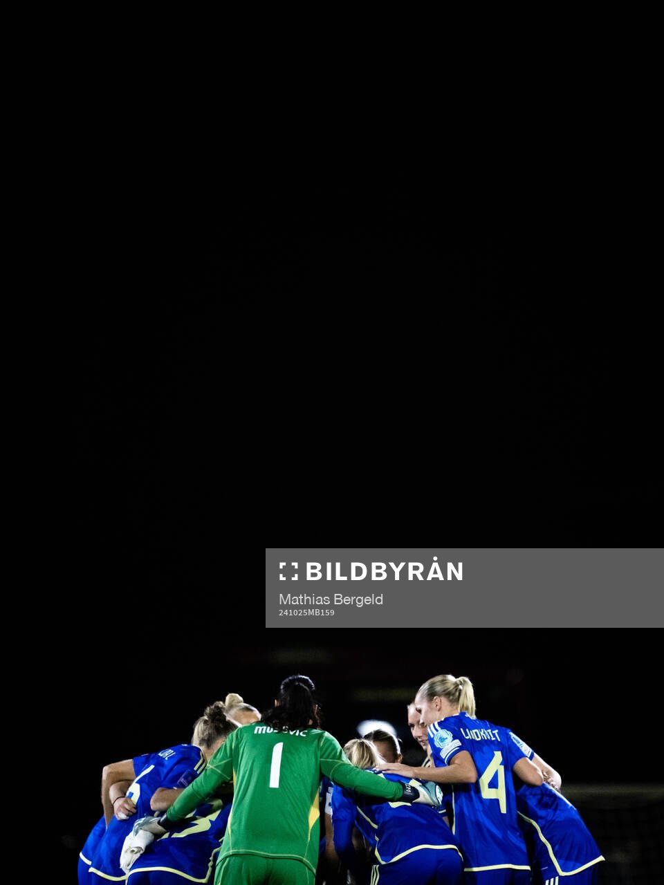 Players of Sweden gather