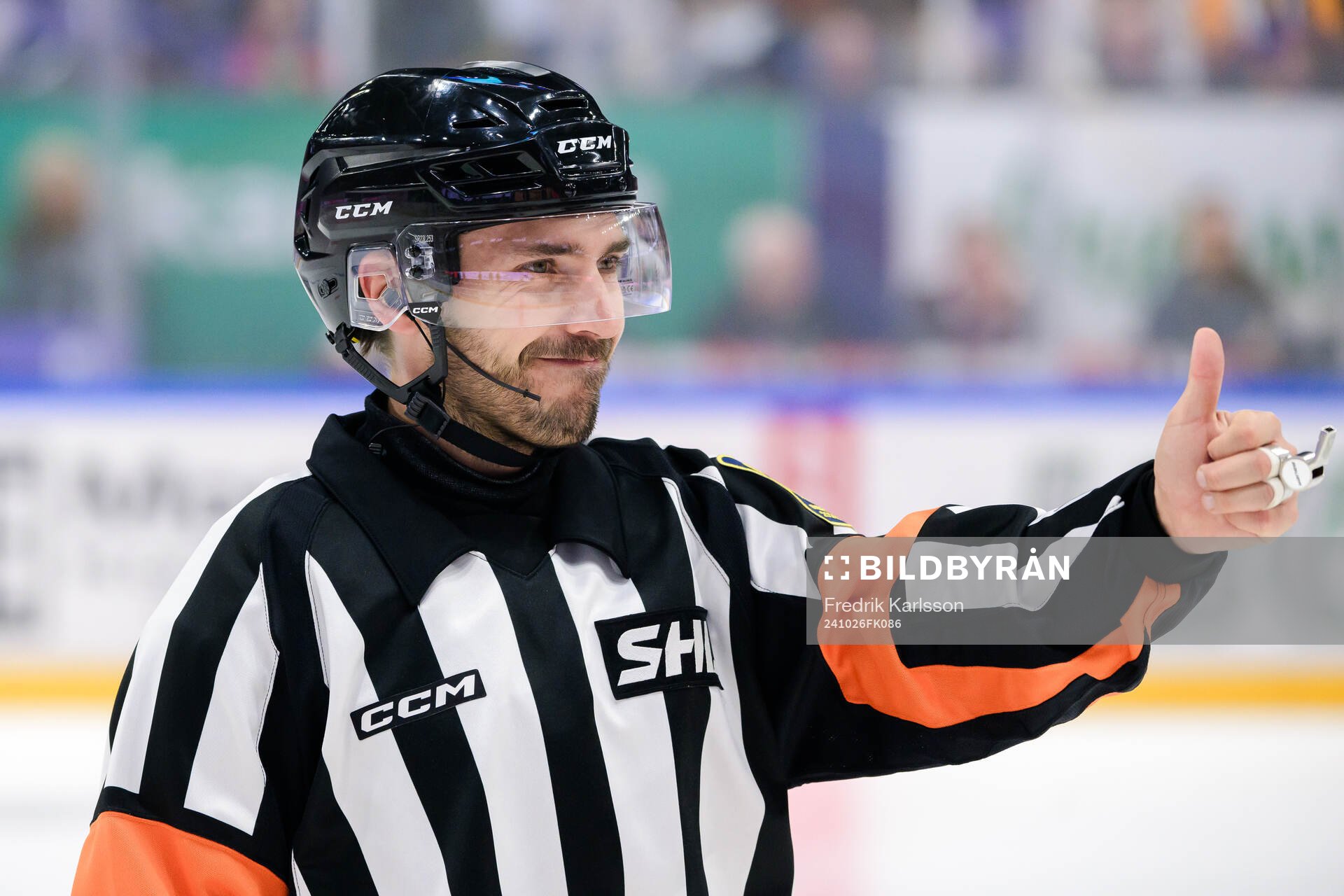 Domare Mattias Enroth