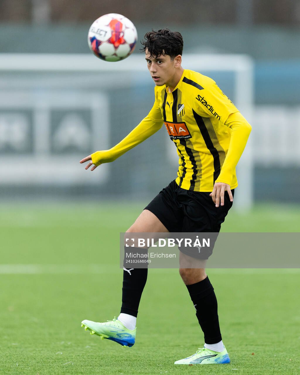 Häckens Malte Ljungkull