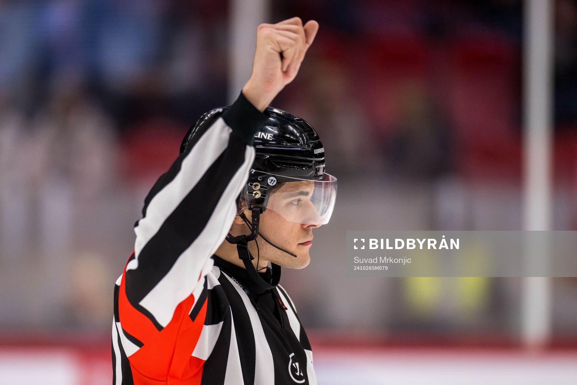 Domare Robin Jacobsson