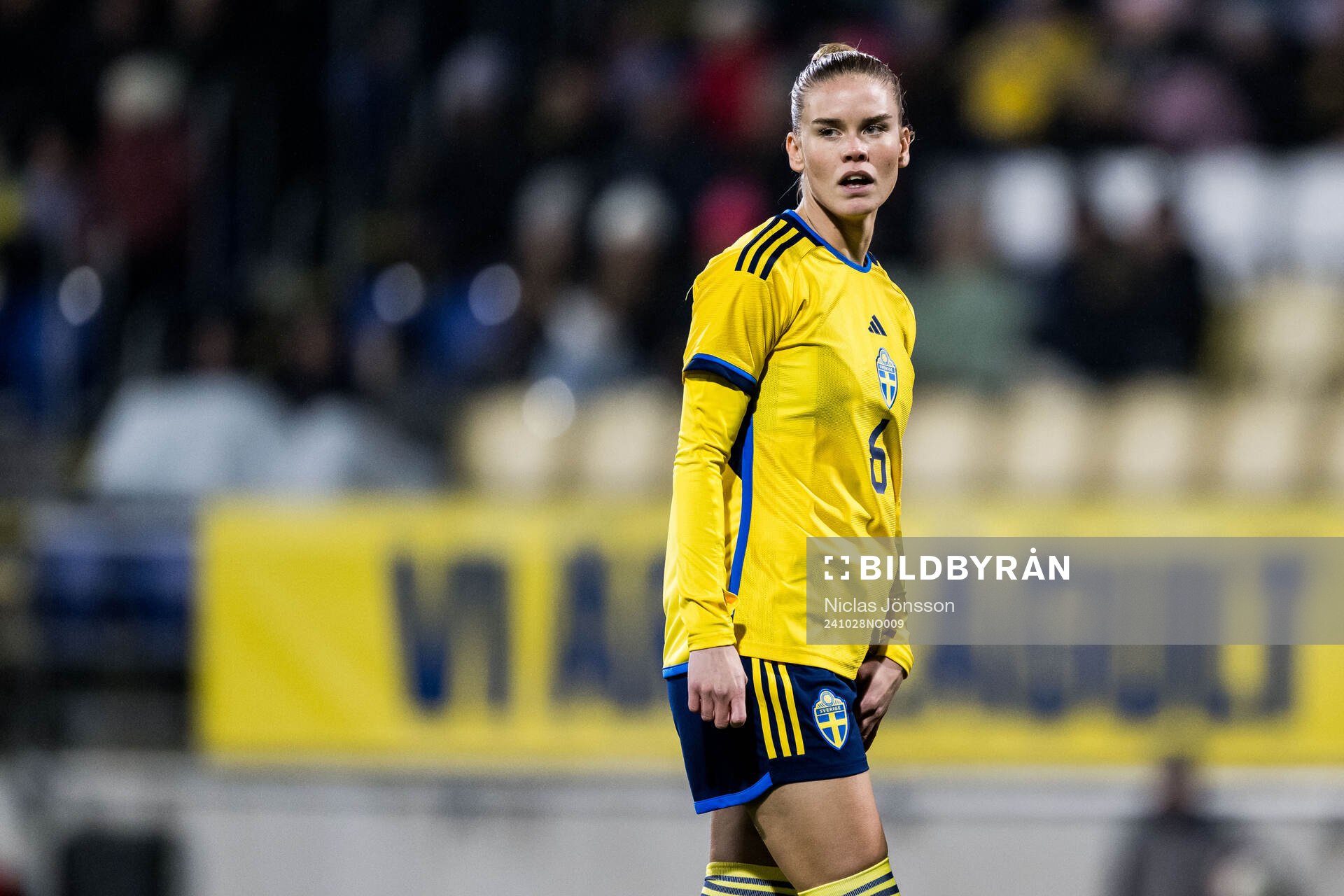 My Cato of Sweden