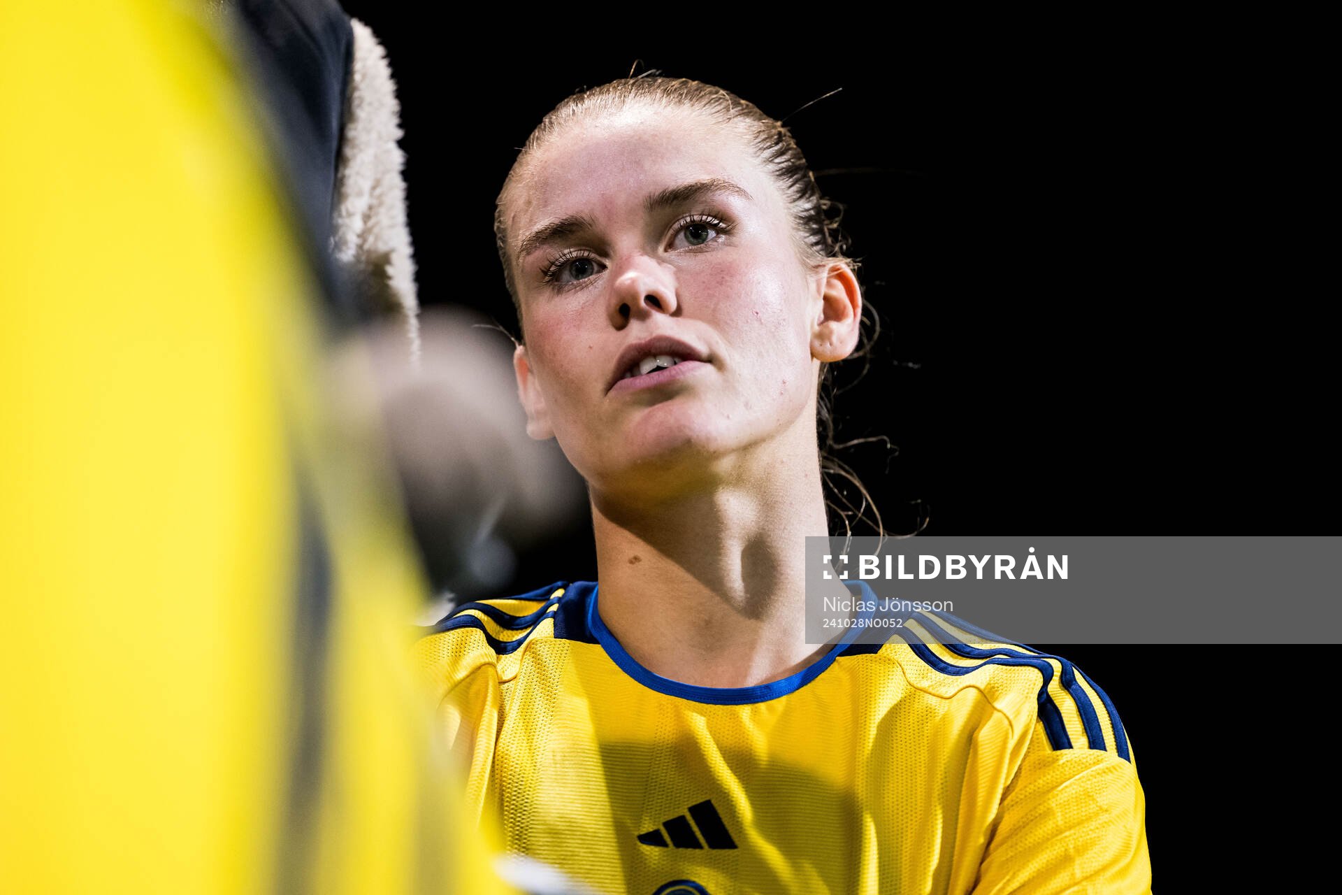 My Cato of Sweden looks dejected
