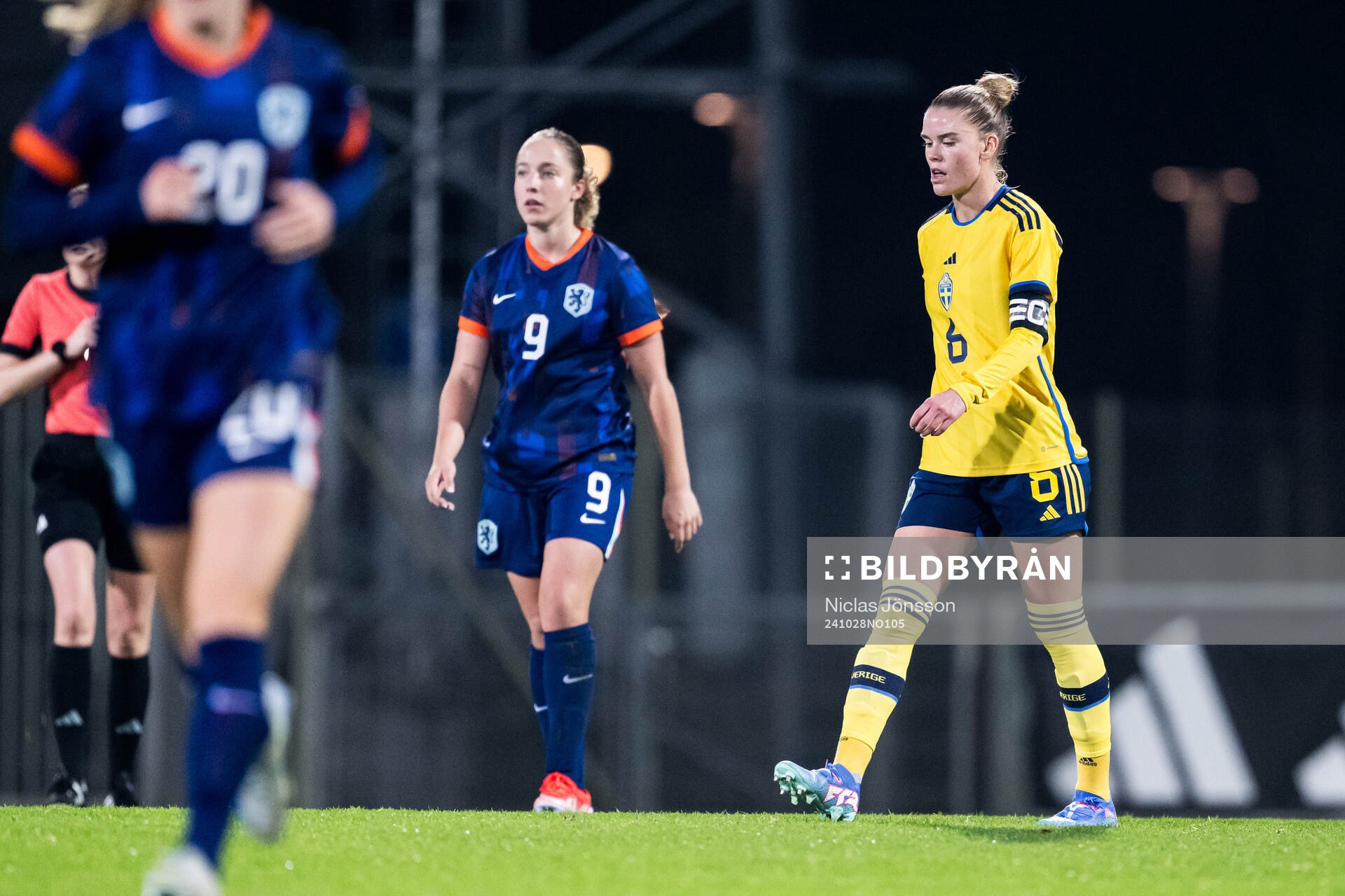 My Cato of Sweden looks dejected