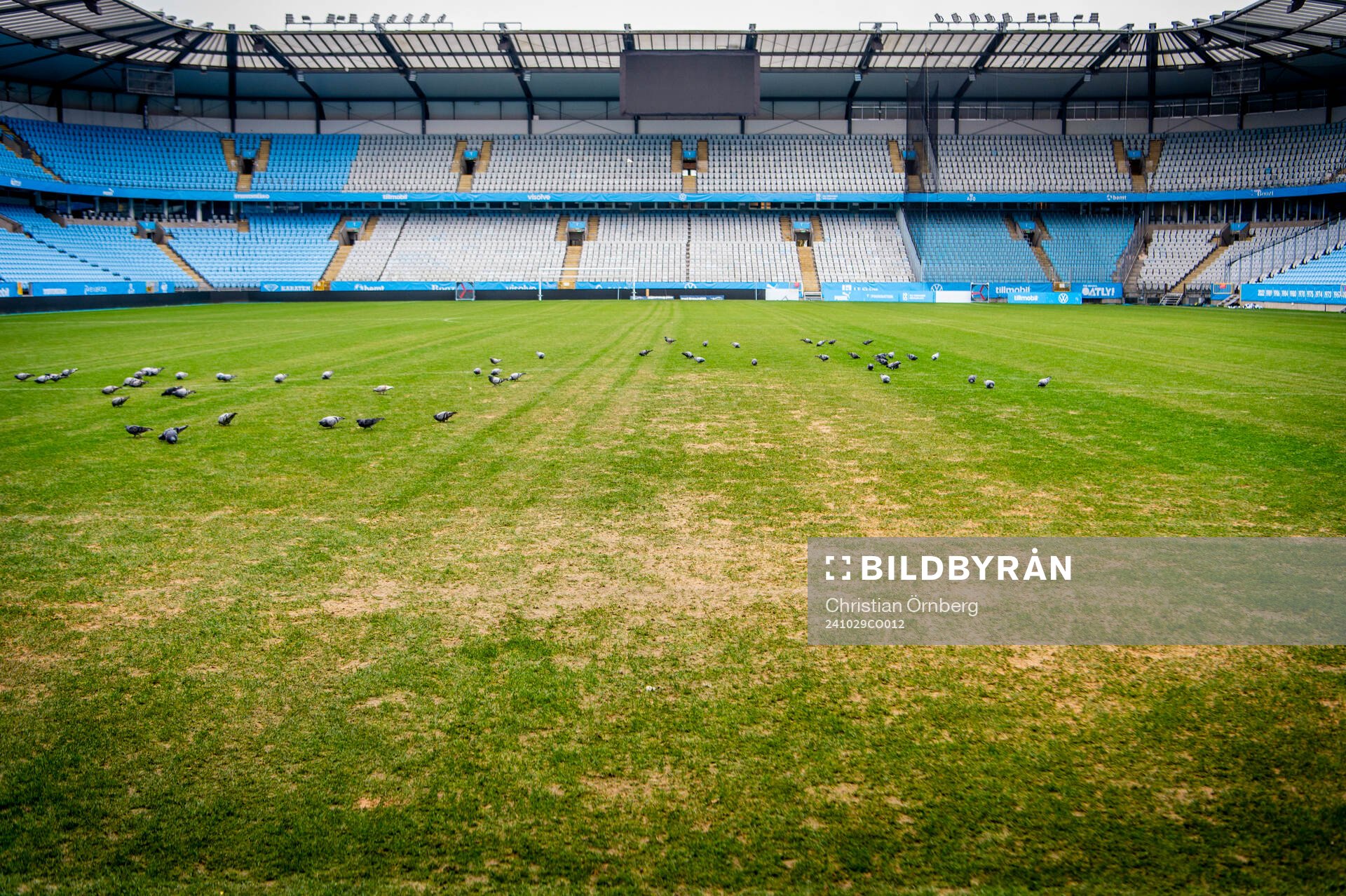 Inspektion av gräsmattan på Eleda Stadion