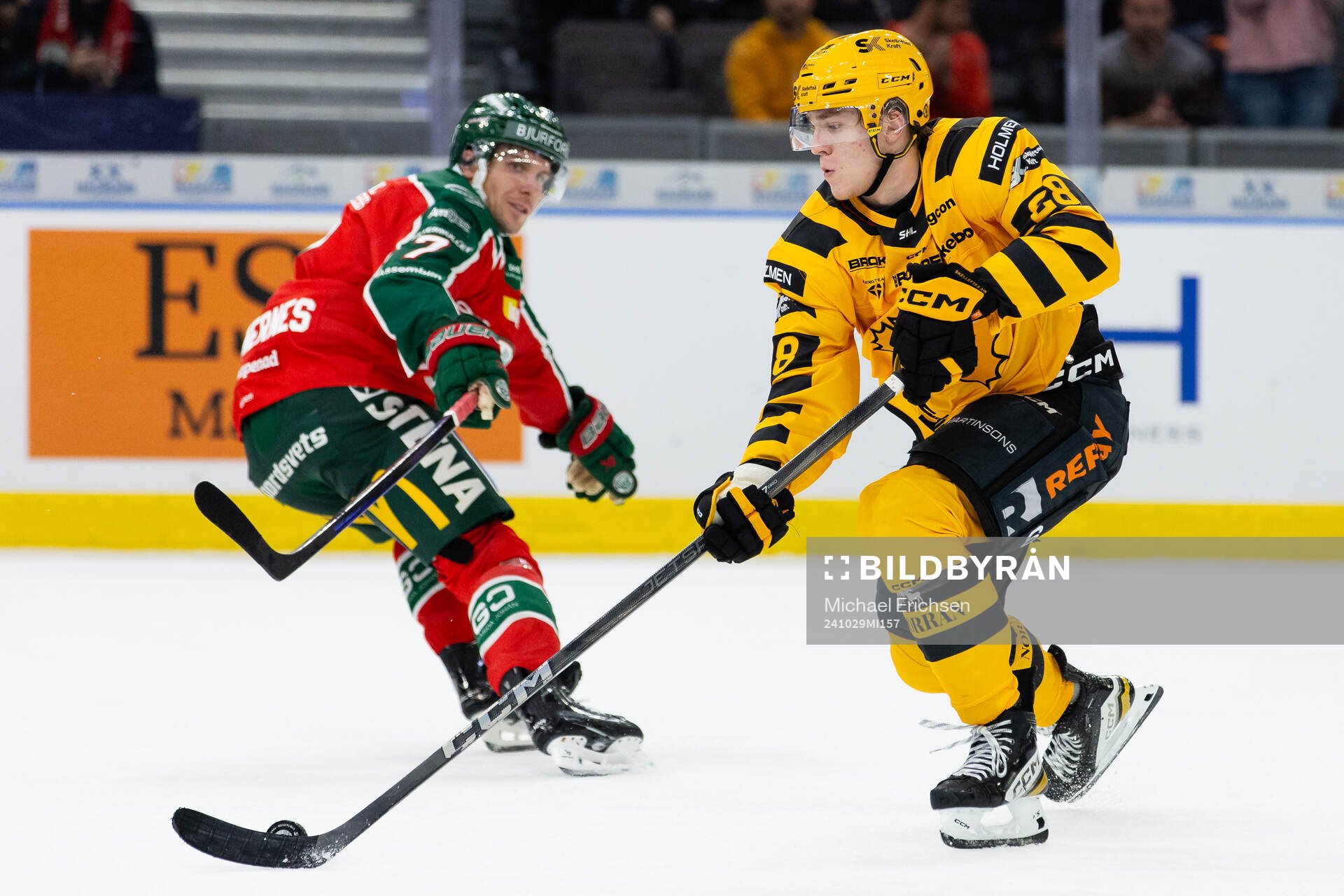 Skellefteås Michael Brandsegg-Nygård