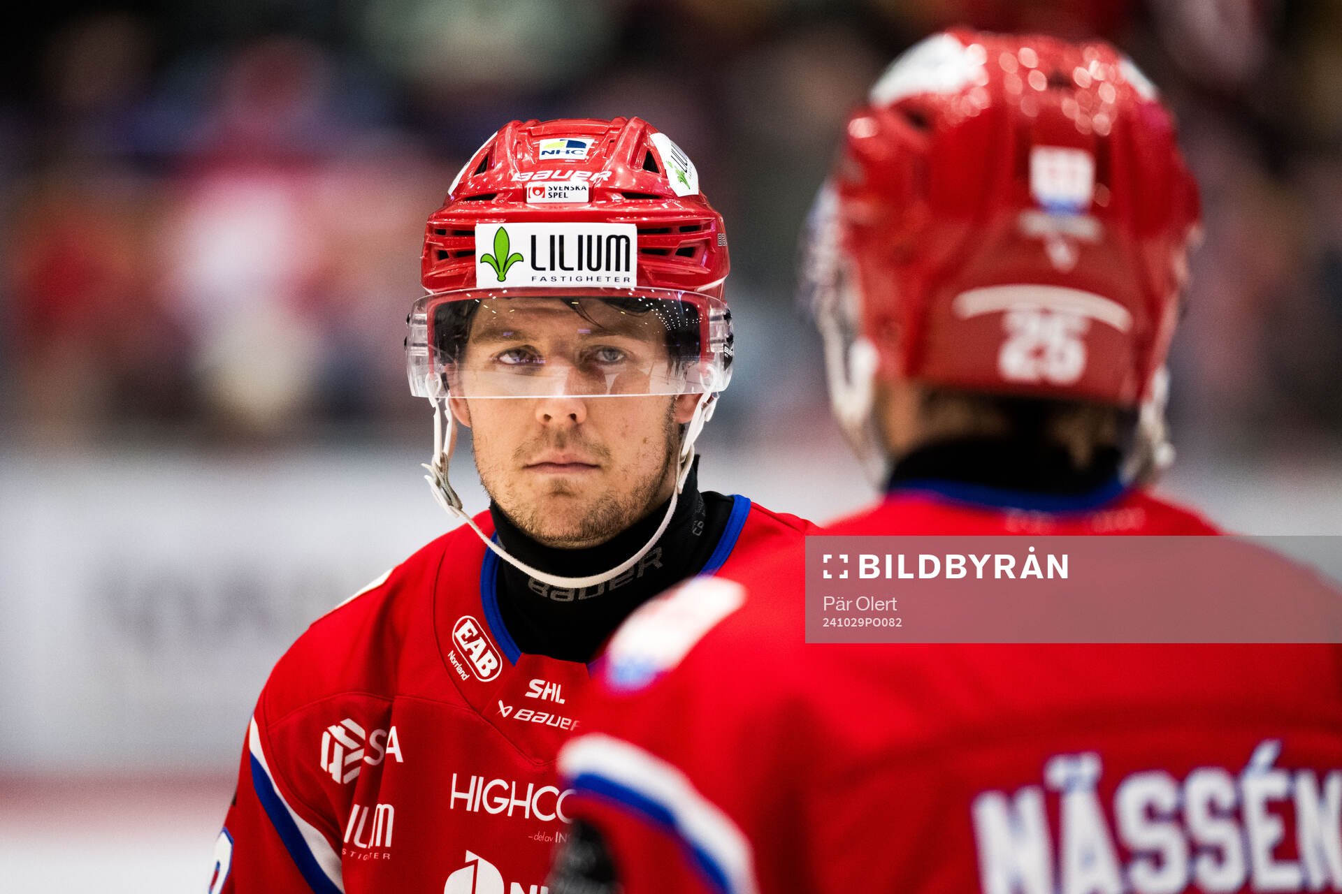 Timrås Filip Hållander