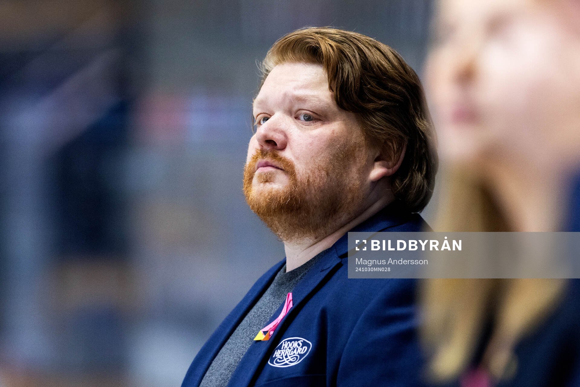 HV71s tränare Thomas Pettersen
