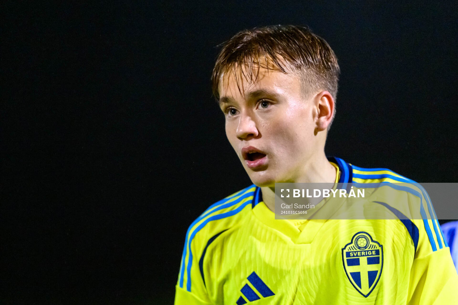 Nikolas Jovanovic of Sweden