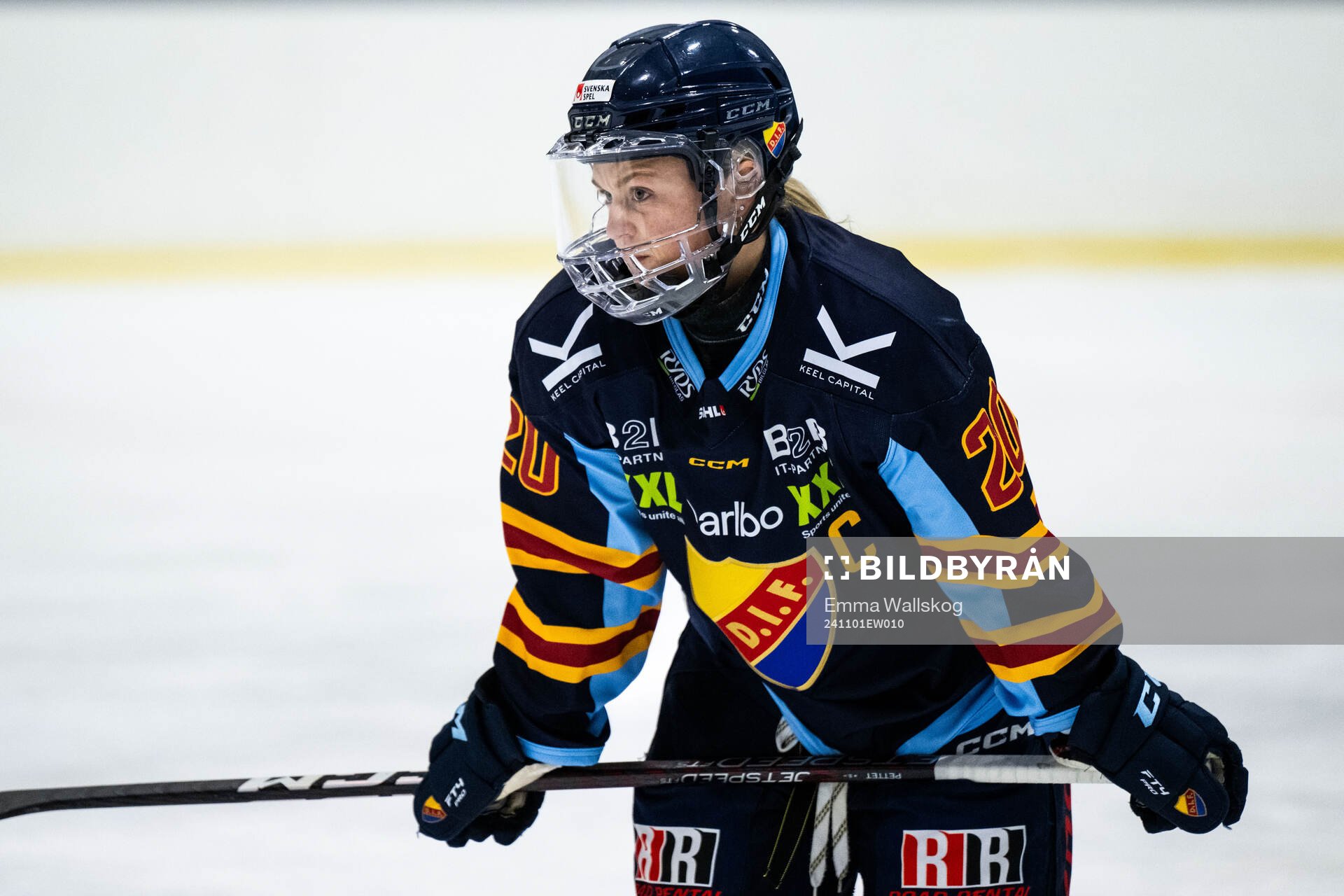 Djurgårdens Brette Pettet