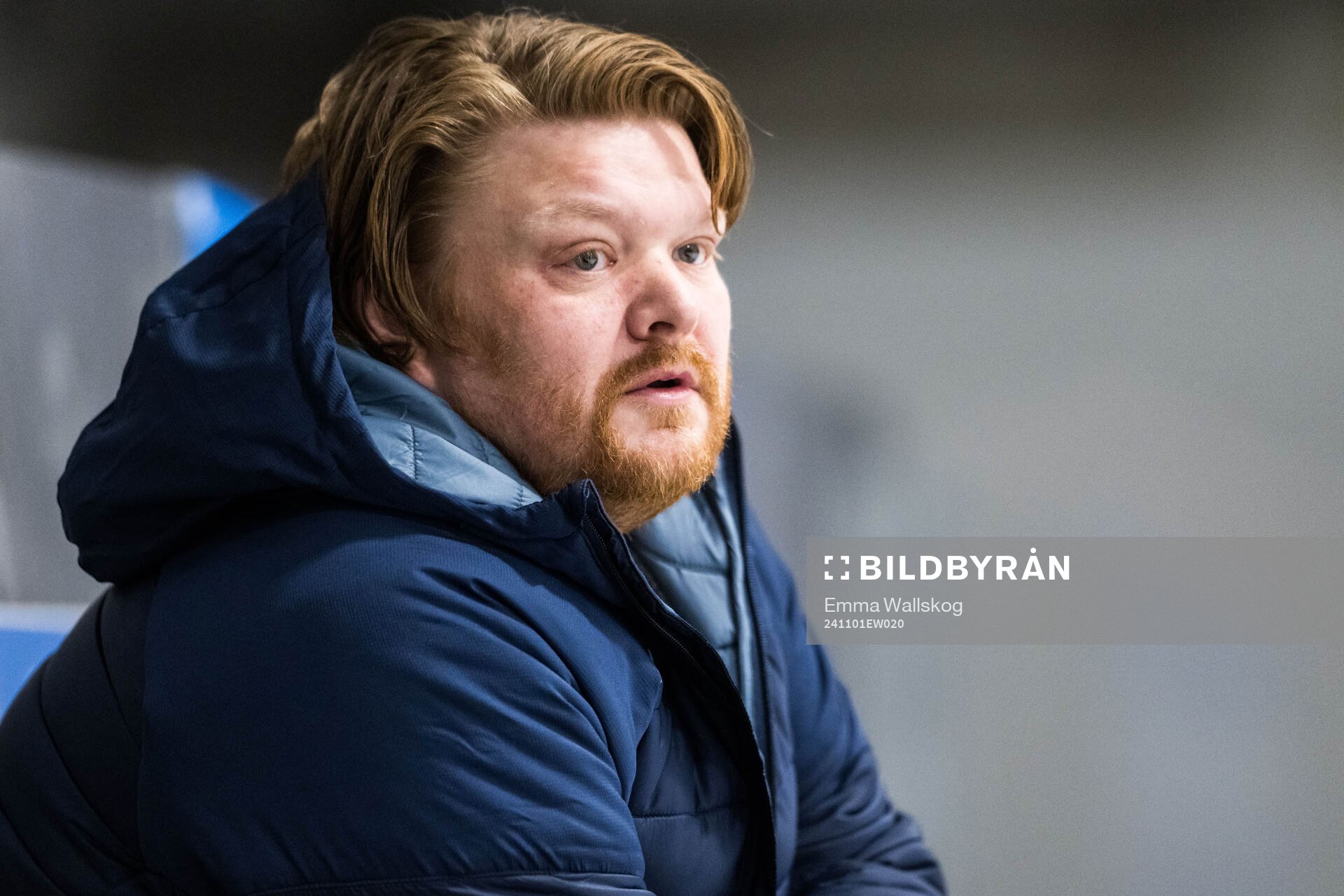 HV71s tränare Thomas Pettersen