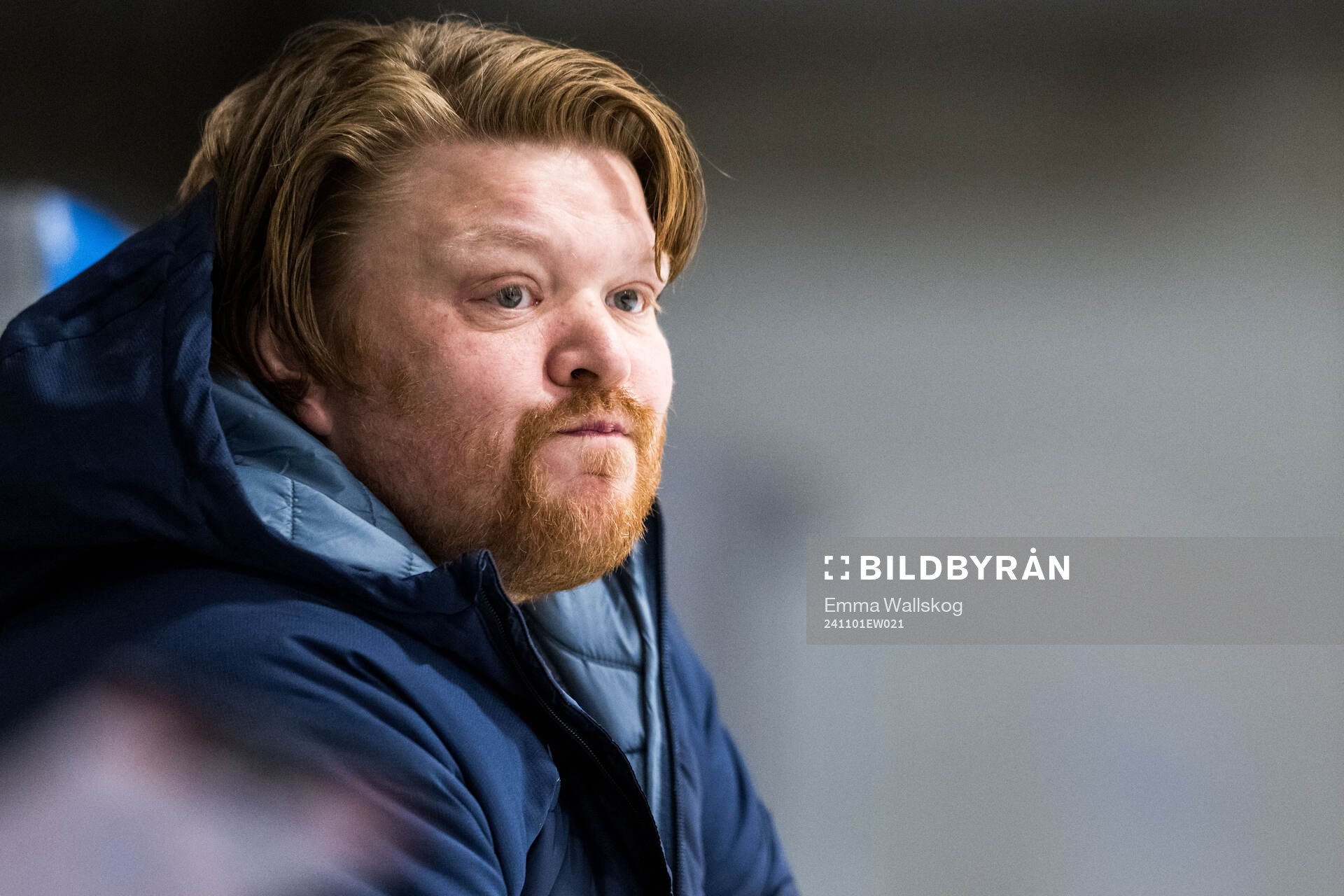 HV71s tränare Thomas Pettersen