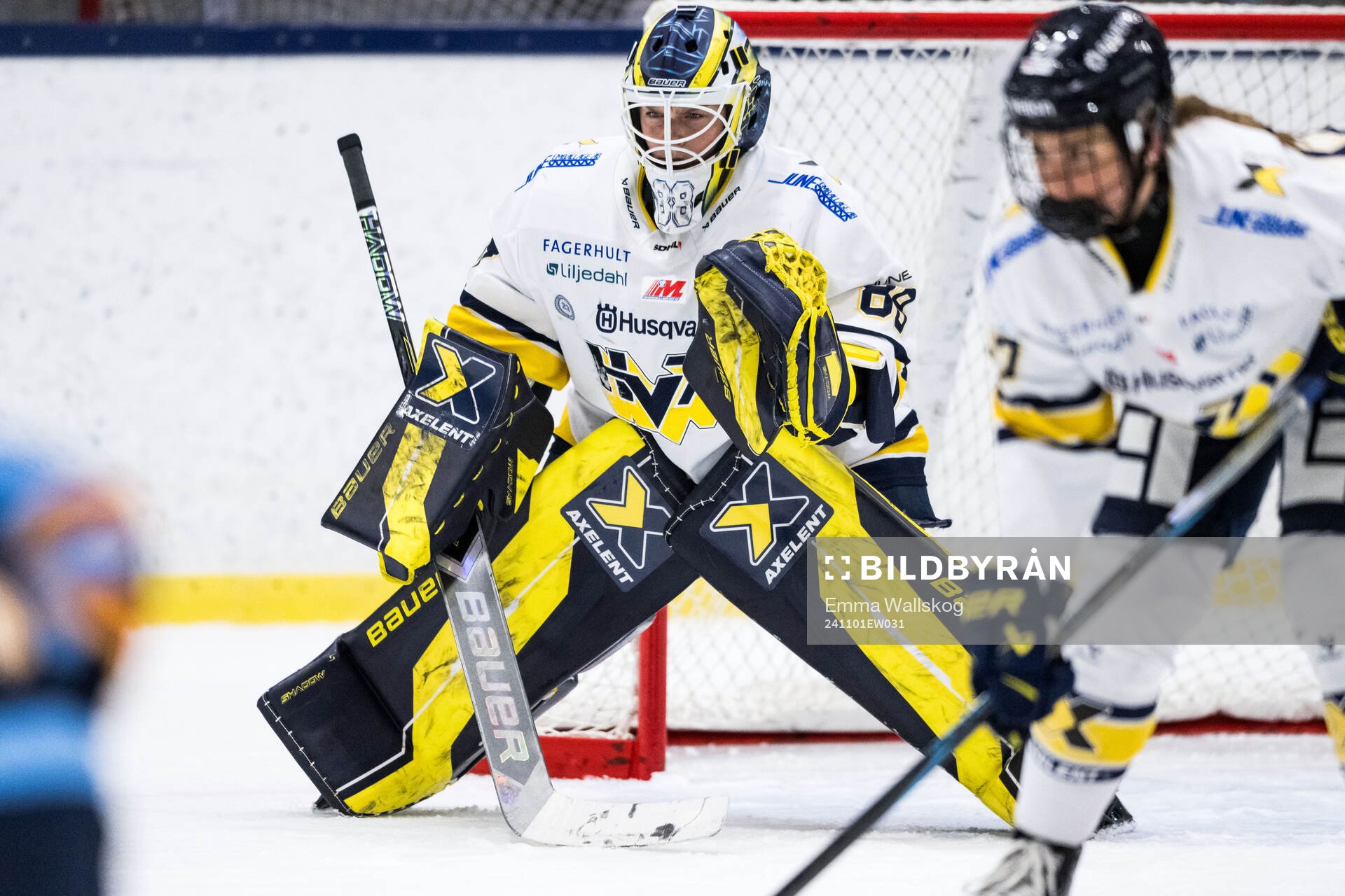 HV71s målvakt Lina Van Noort