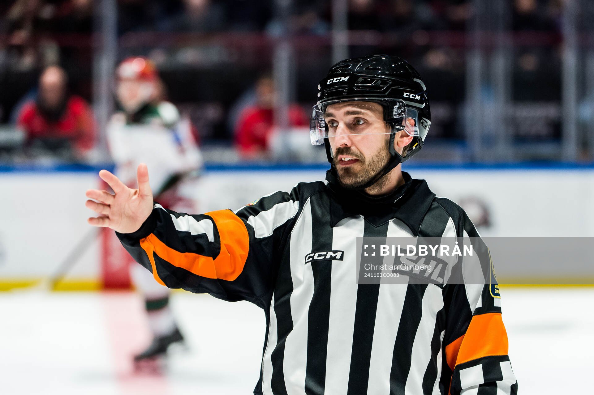 Domare Mattias Enroth