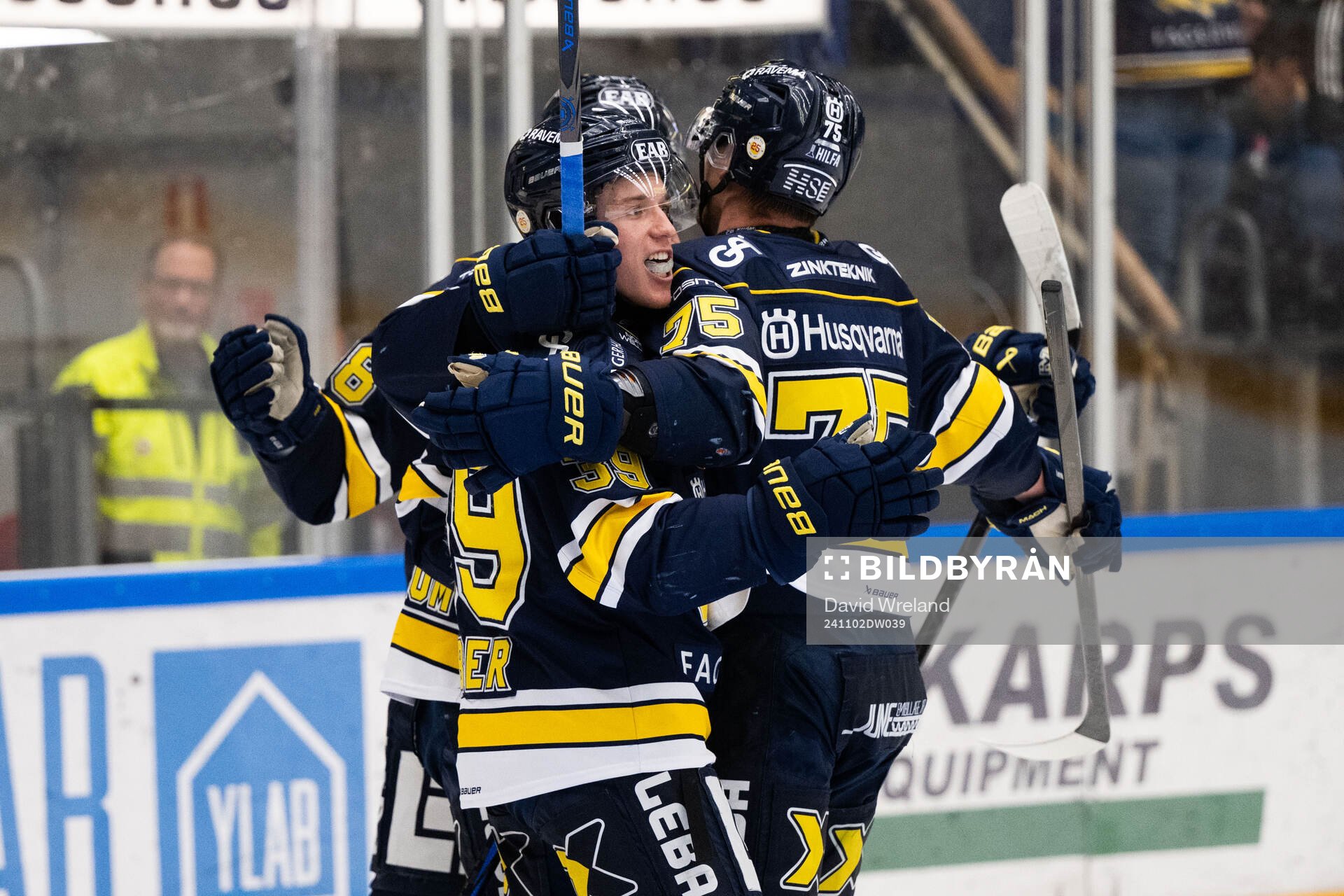 HV71s Radan Lenc jublar